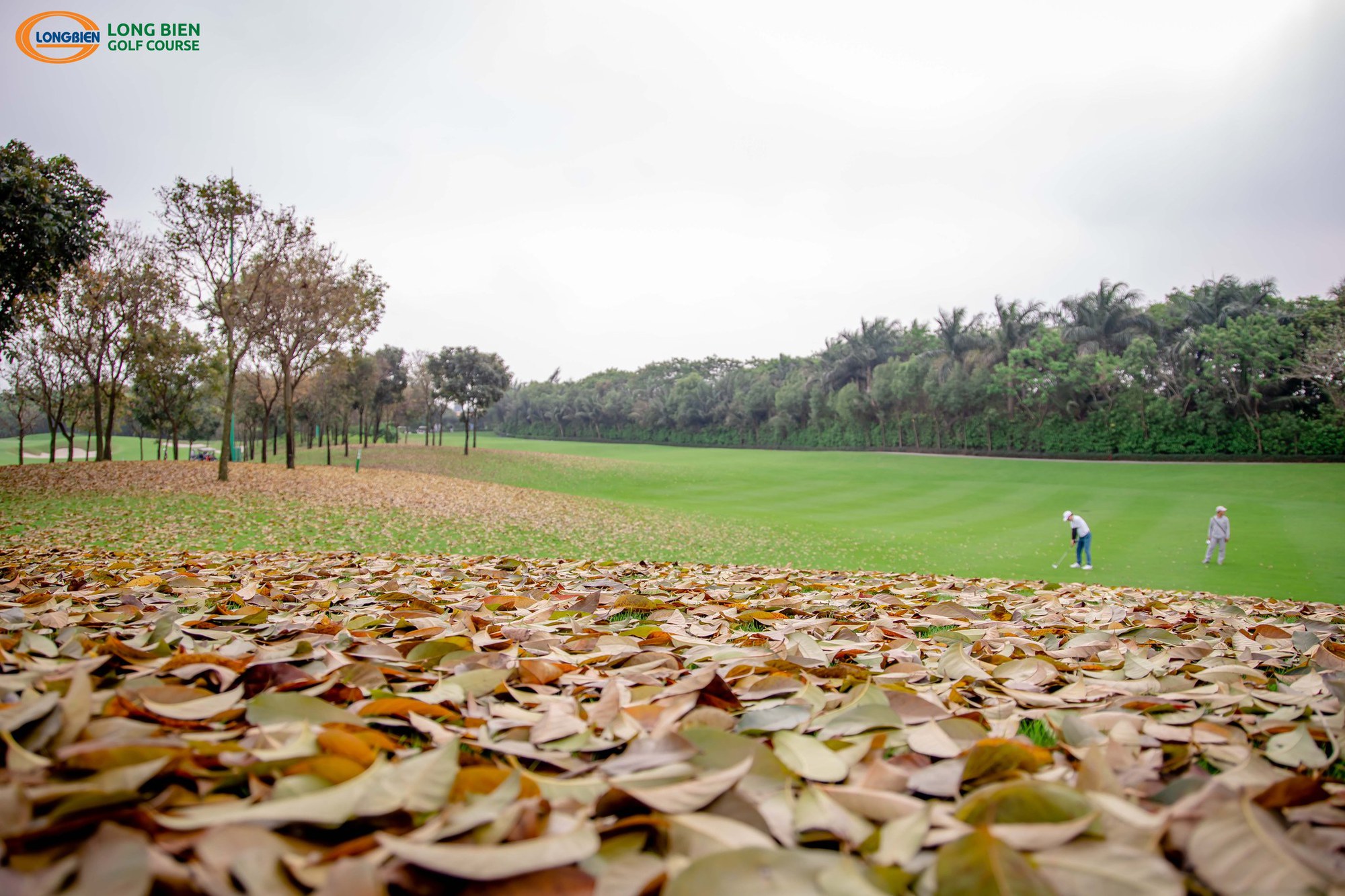 Hà Nội kỳ vọng bứt phá du lịch bằng phát triển du lịch golf - Ảnh 2.