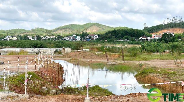 San lấp đất trái phép làm dự án Công ty Phát triển đô thị Quảng Ngãi bị phạt trên 630 triệu - Ảnh 3.