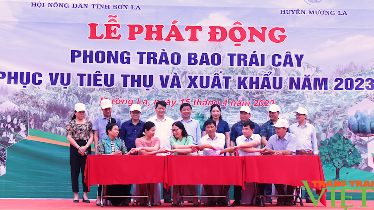Sơn La: Bao trái cây phục vụ tiêu thụ và xuất khẩu - Ảnh 2. Sơn La: Bao trái cây phục vụ tiêu thụ và xuất khẩu - Ảnh 2.