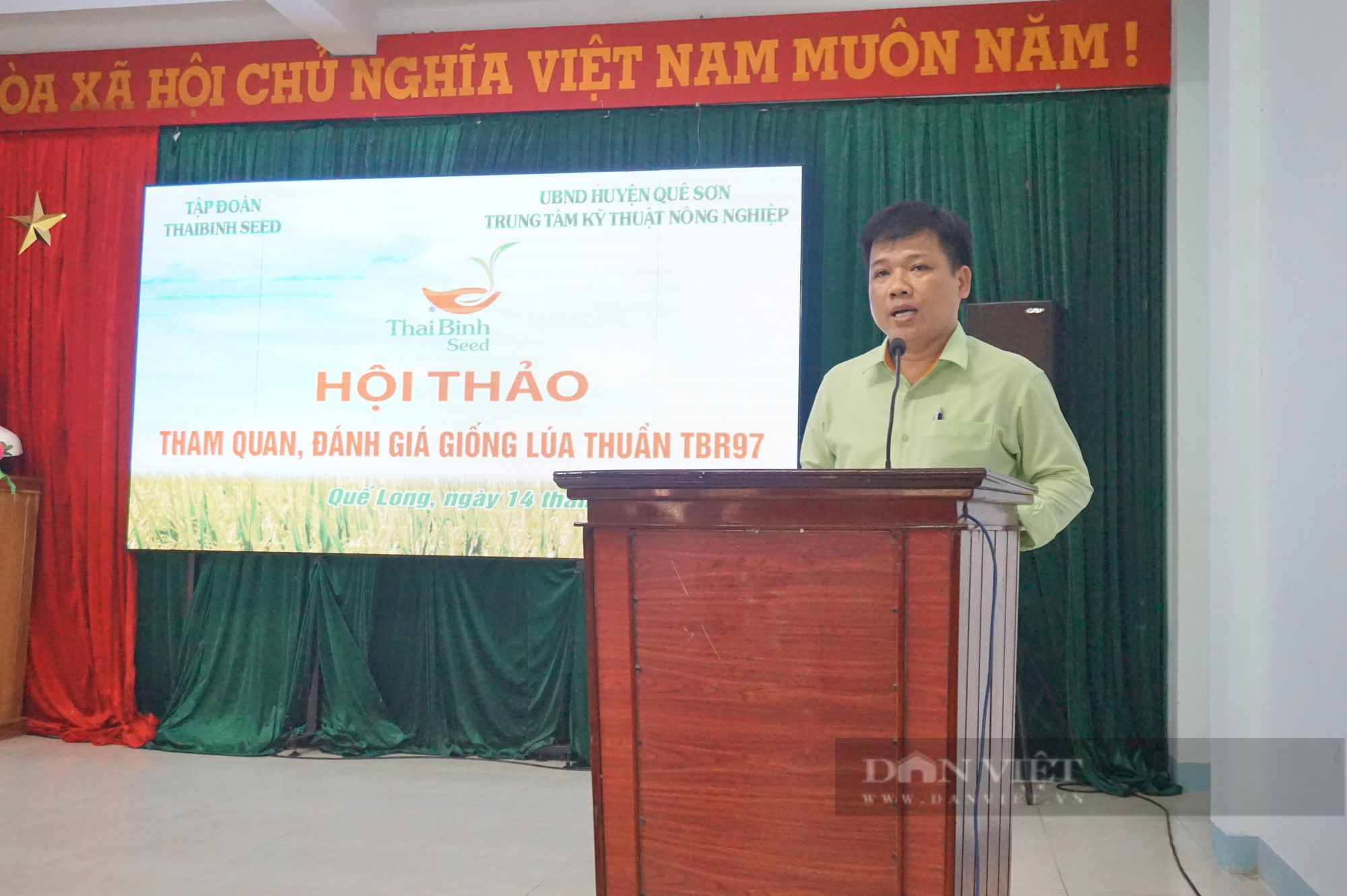 Giống lúa TBR97 &quot;đẻ khoẻ&quot;, nông dân xứ Quảng kỳ vọng vụ mùa bội thu - Ảnh 3.