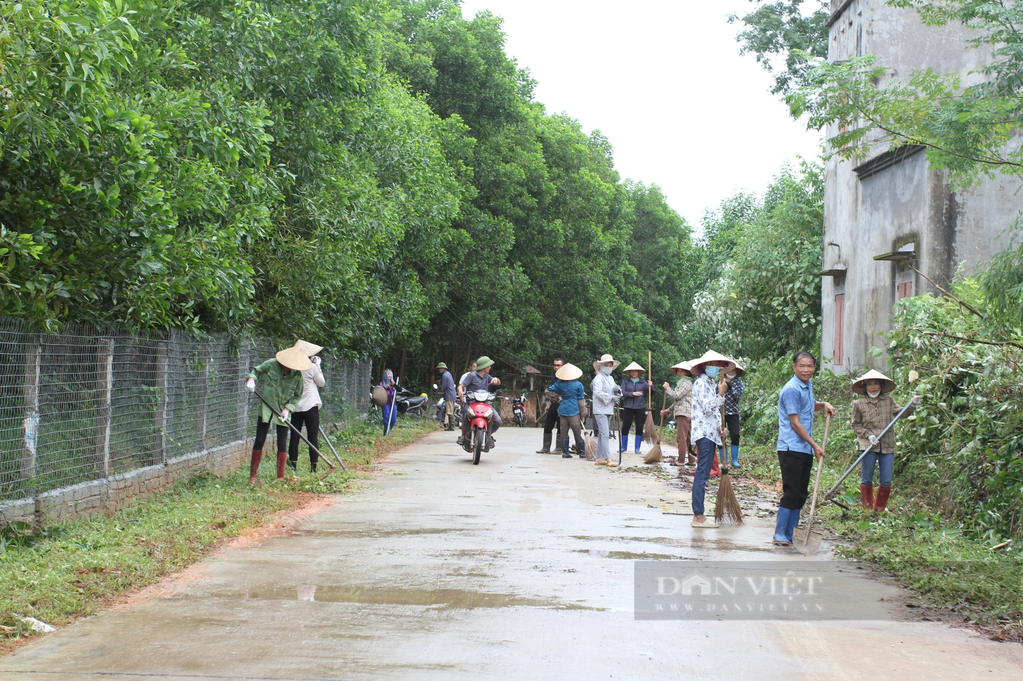 Phú Bình, Thái Nguyên: Hàng chục nghìn người ra quân vệ sinh môi trường, làm sạch đường làng, ngõ xóm, xây dựng nông thôn mới - Ảnh 2.