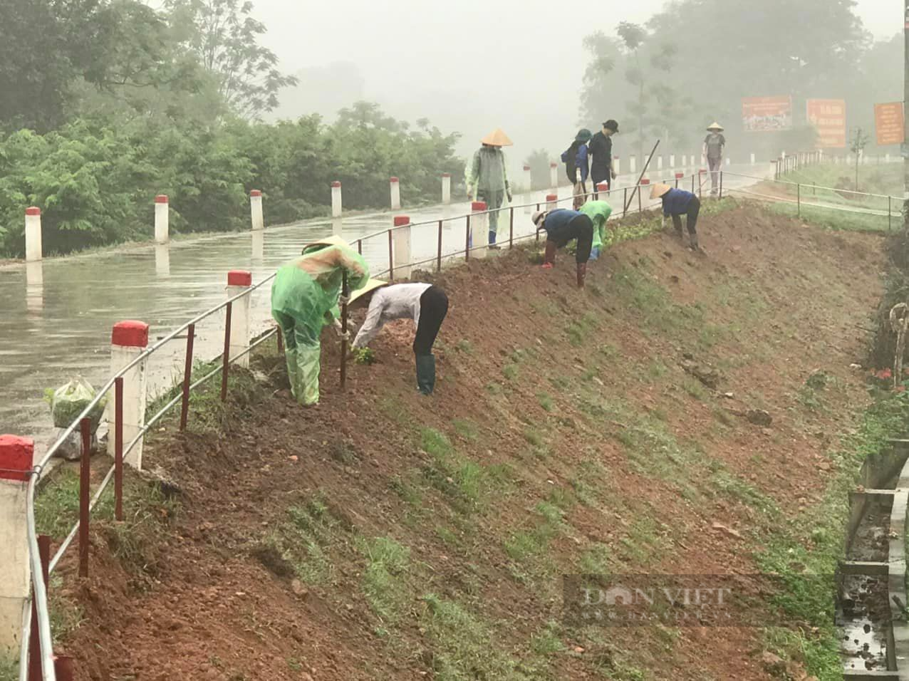 Phú Bình, Thái Nguyên: Hàng chục nghìn người ra quân vệ sinh môi trường, làm sạch đường làng, ngõ xóm, xây dựng nông thôn mới - Ảnh 3.