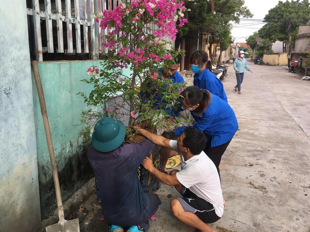 Ở một xã của tỉnh Hải Dương, camera giám sát ở khắp nơi, đường làng phủ đầy hoa giấy, cây xanh - Ảnh 2.