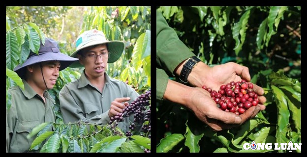 9X khởi nghiệp với nỗ lực đưa cà phê Việt Nam ra thế giới - Ảnh 2.