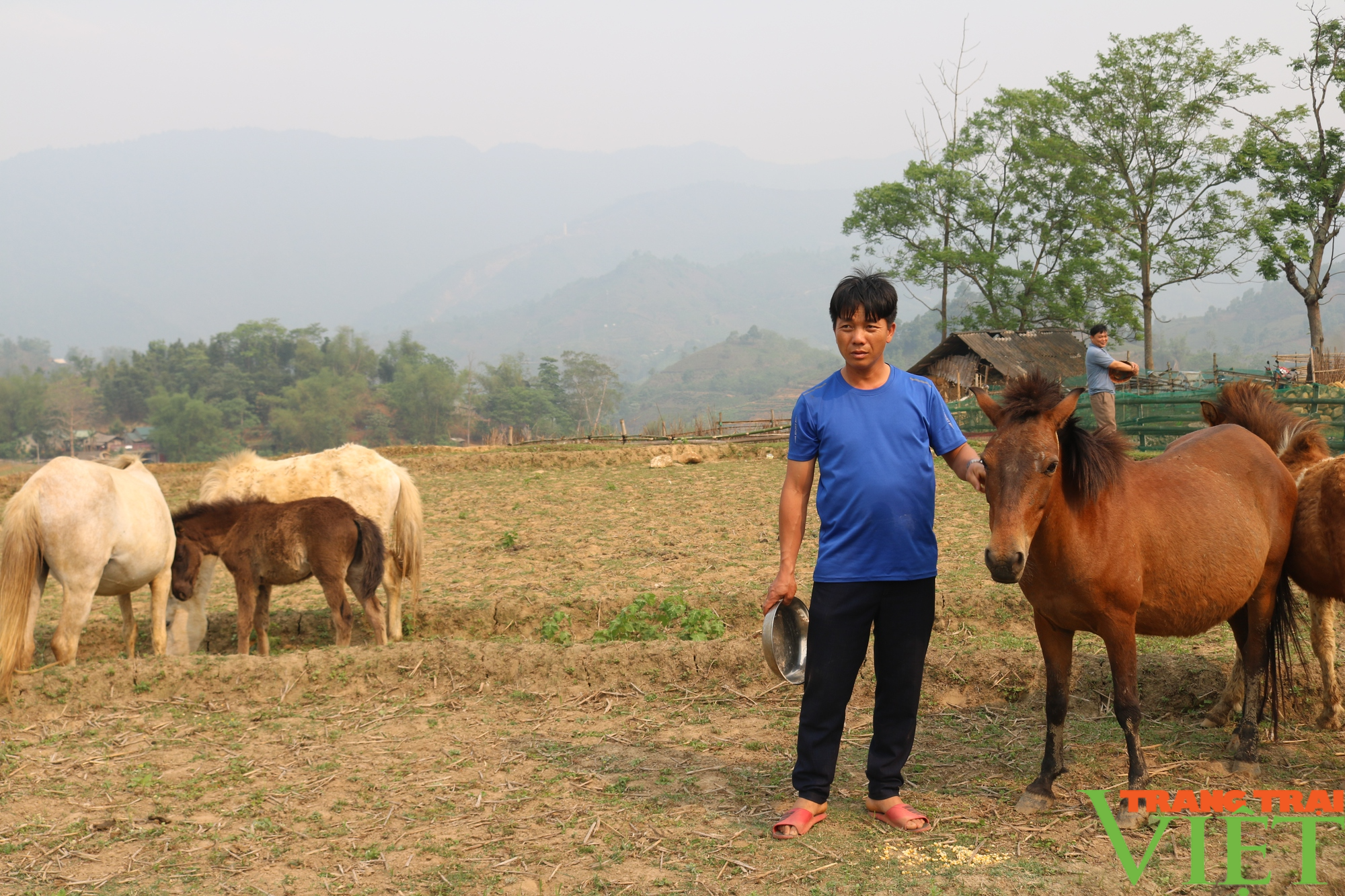 Anh nông dân ở vùng cao Lào Cai thoát nghèo nhờ nuôi ngựa - Ảnh 2.