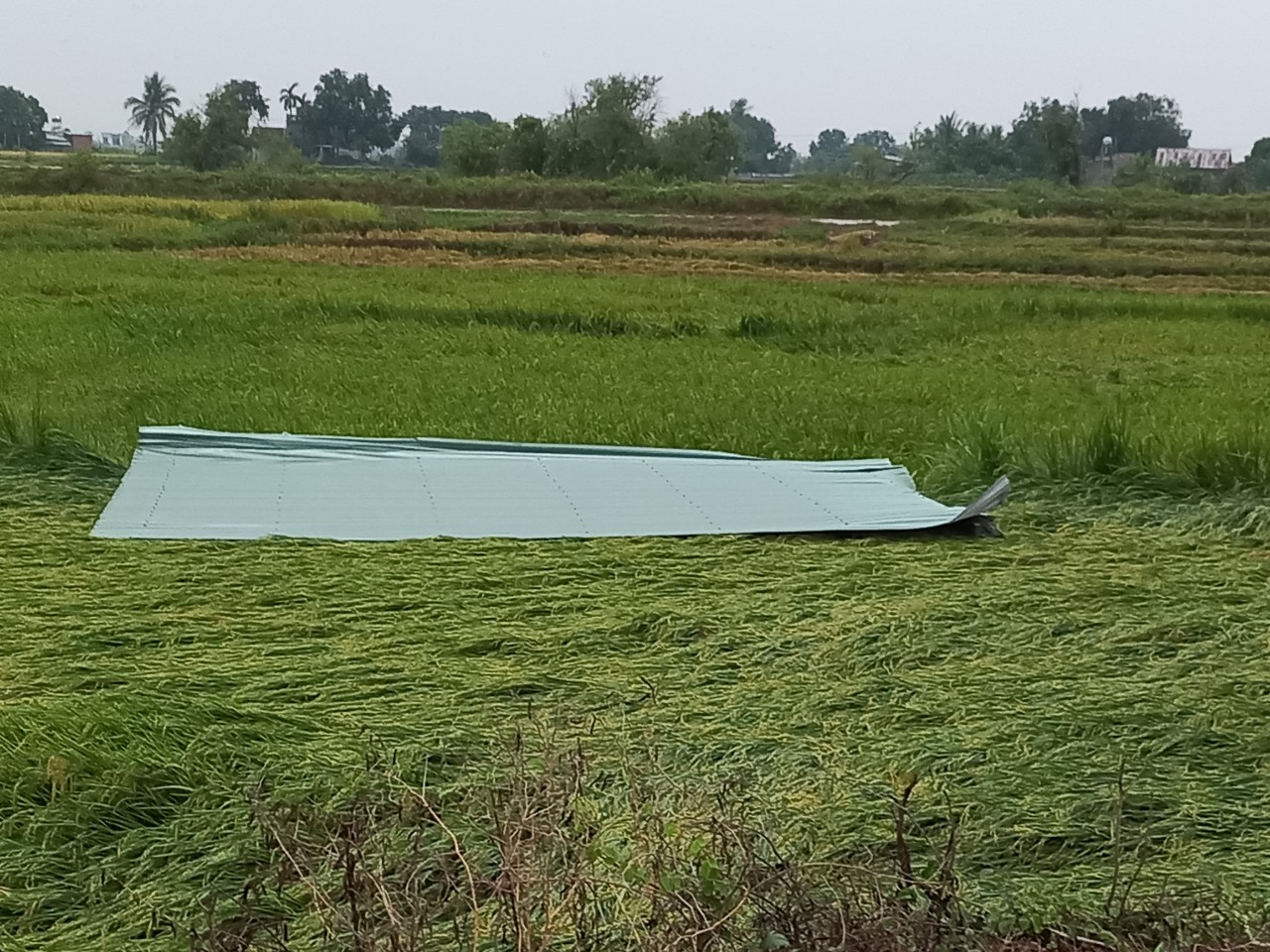 Mưa dông ở Gia Lai, hàng trăm căn nhà bị tốc mái - Ảnh 2.