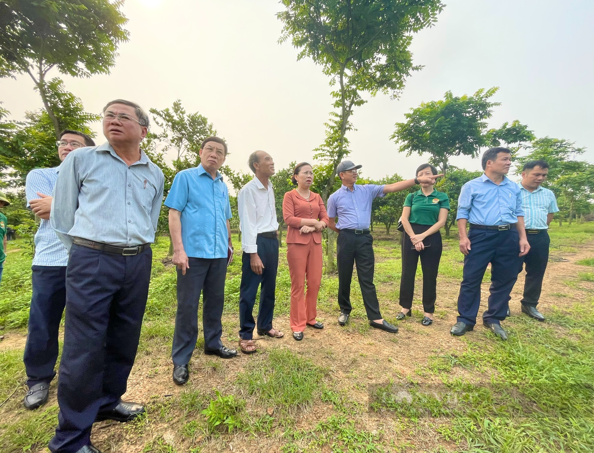 Phó Chủ tịch TƯ Hội NDVN Bùi Thị Thơm ấn tượng với mô hình cây ăn quả ở Quảng Bình- Ảnh 1.