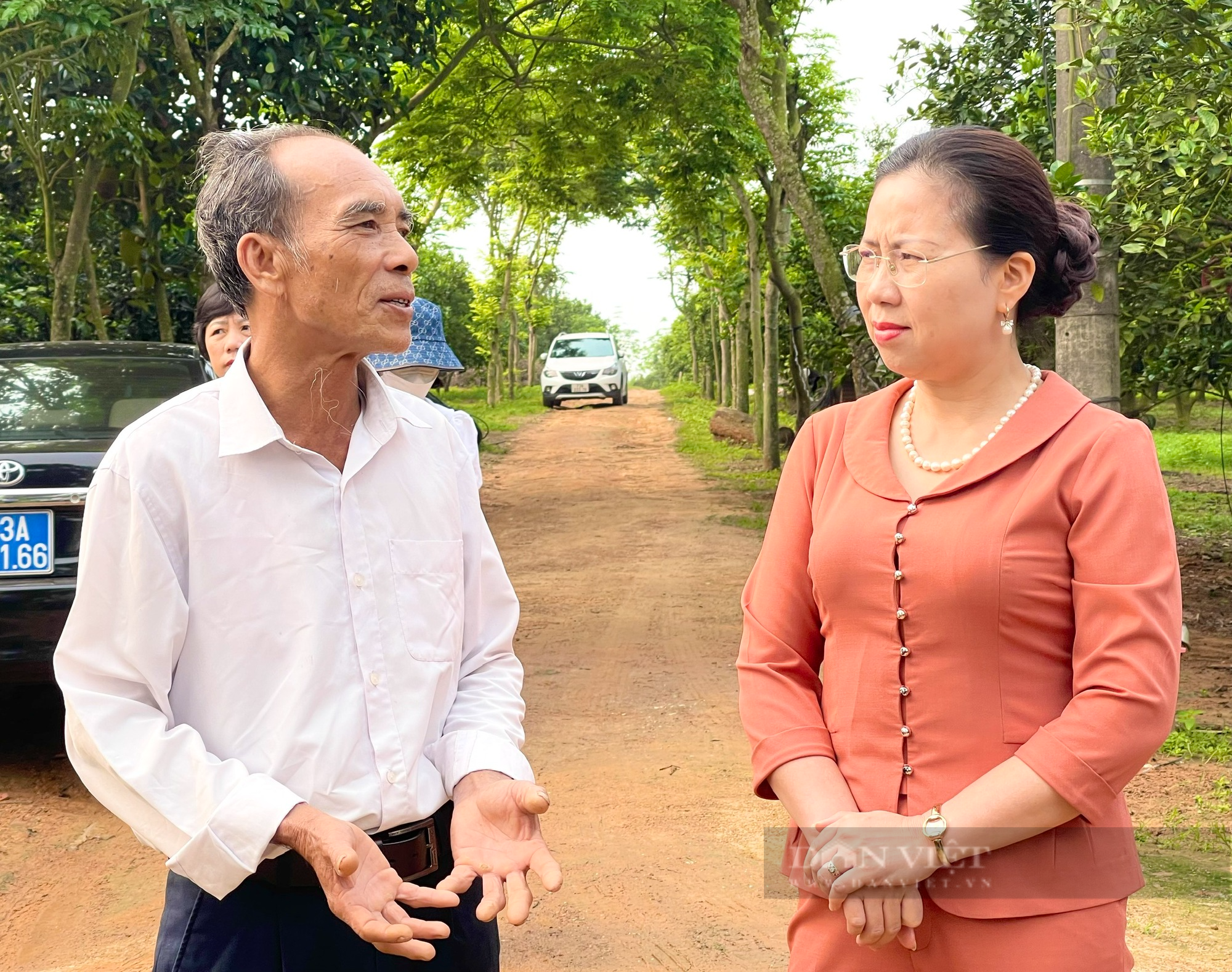 Phó Chủ tịch TƯ Hội NDVN Bùi Thị Thơm ấn tượng với mô hình cây ăn quả ở Quảng Bình- Ảnh 2.