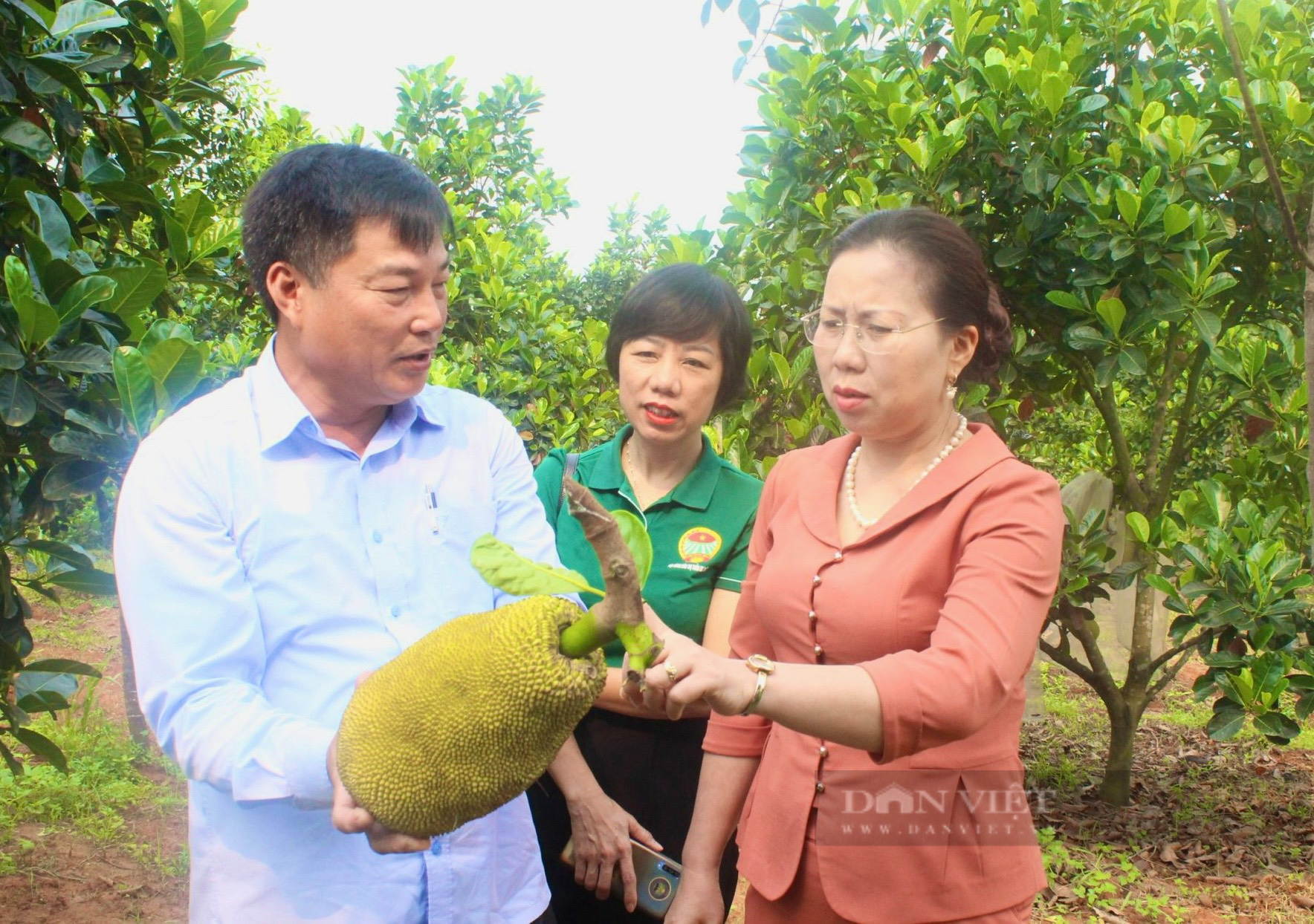 Phó Chủ tịch TƯ Hội NDVN Bùi Thị Thơm ấn tượng với mô hình cây ăn quả ở Quảng Bình- Ảnh 4.