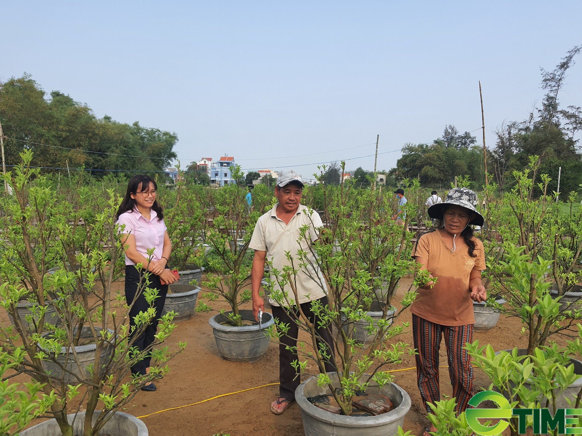 Quảng Nam: Vượt khó khăn - hoạt động tín dụng chính sách Hội An hái &quot;quả ngọt&quot; - Ảnh 2.