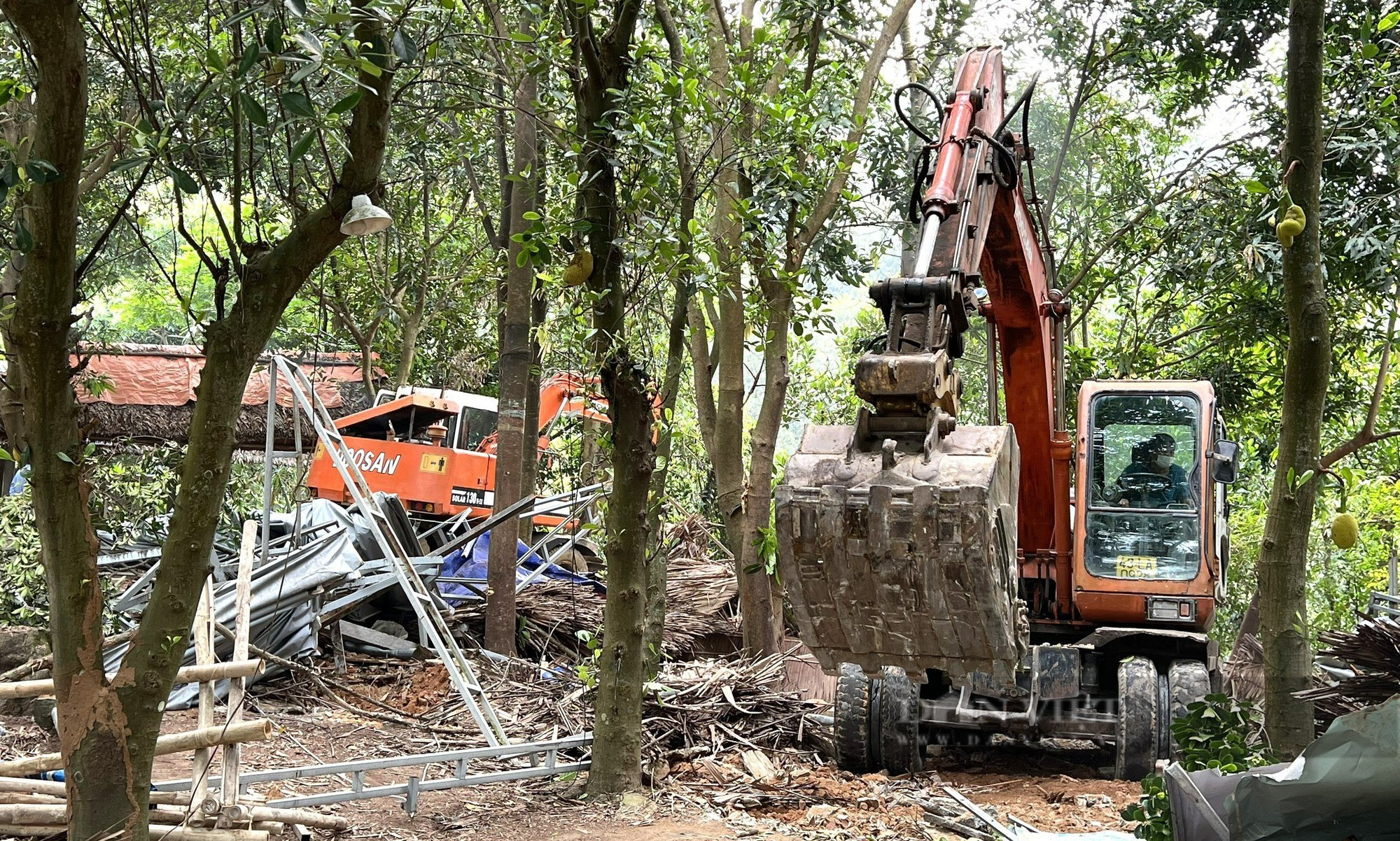 Đà Nẵng: Huy động xe múc cùng hàng chục người &quot;dẹp&quot; công trình trái phép trên bán đảo Sơn Trà - Ảnh 1.