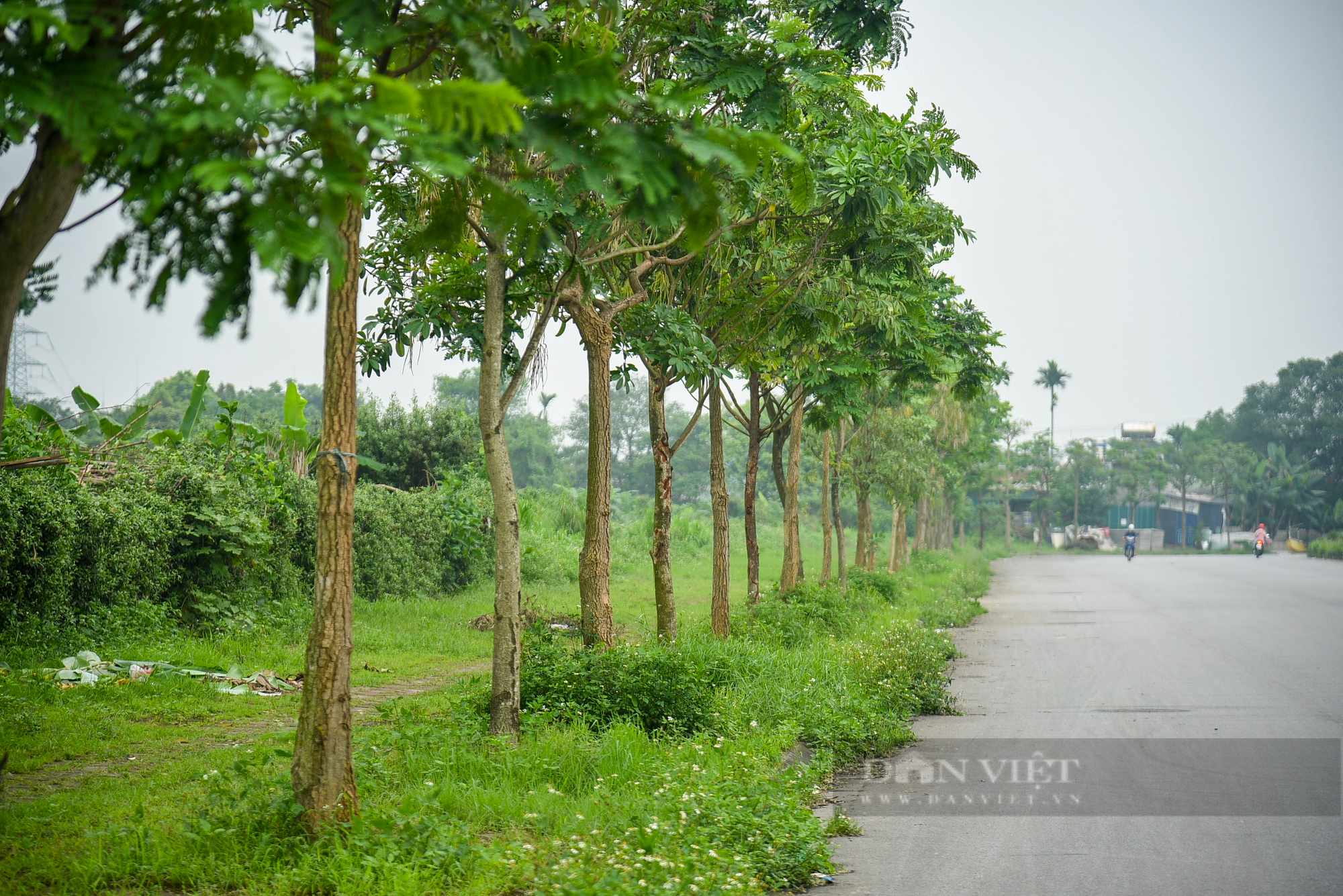 Hình ảnh những tuyến phố &quot;cụt&quot; tại Hà Nội dù đã được gắn biển nhiều năm - Ảnh 9.