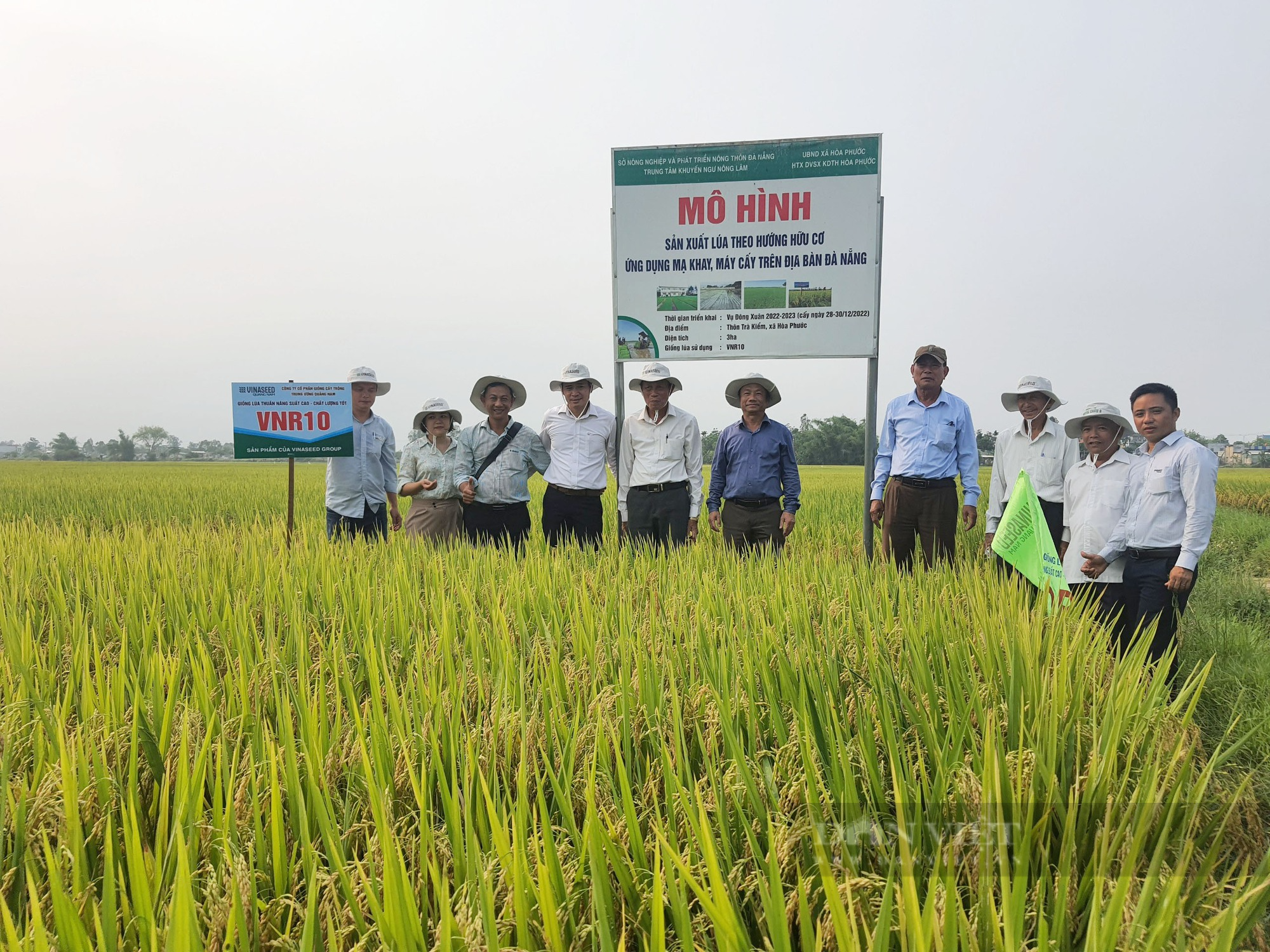 Hai giống lúa của Vinaseed Group tuy mới đưa vào canh tác một, hai vụ nhưng đã gây “thương nhớ” với nông dân - Ảnh 1.