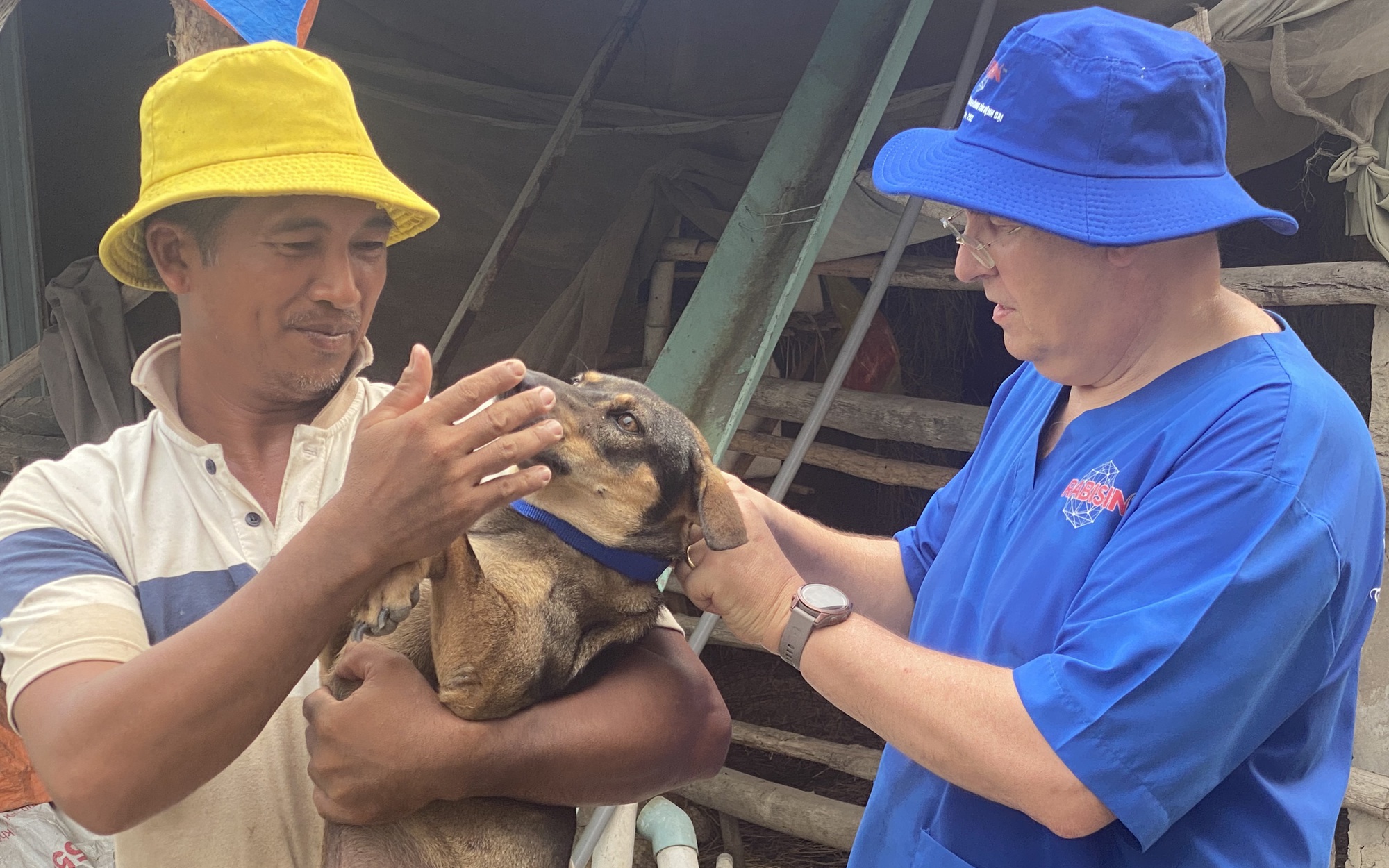 Bất ngờ, một huyện biên giới tỉnh Long An có tới 12.400 con chó, mèo được tiêm phòng bệnh dại