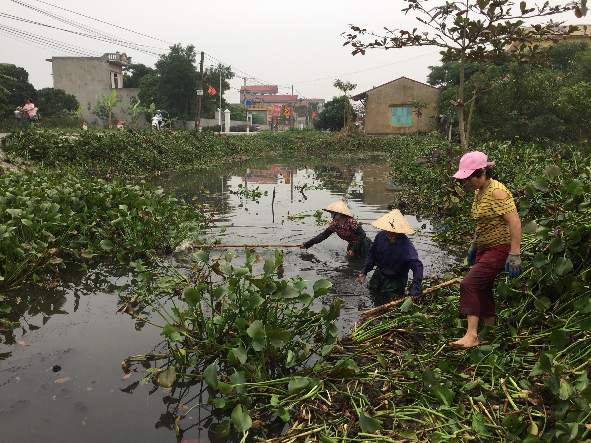 Lãnh đạo tỉnh Nam Định yêu cầu xử lý dứt điểm các vi phạm đê điều trước mùa mưa bão - Ảnh 4.
