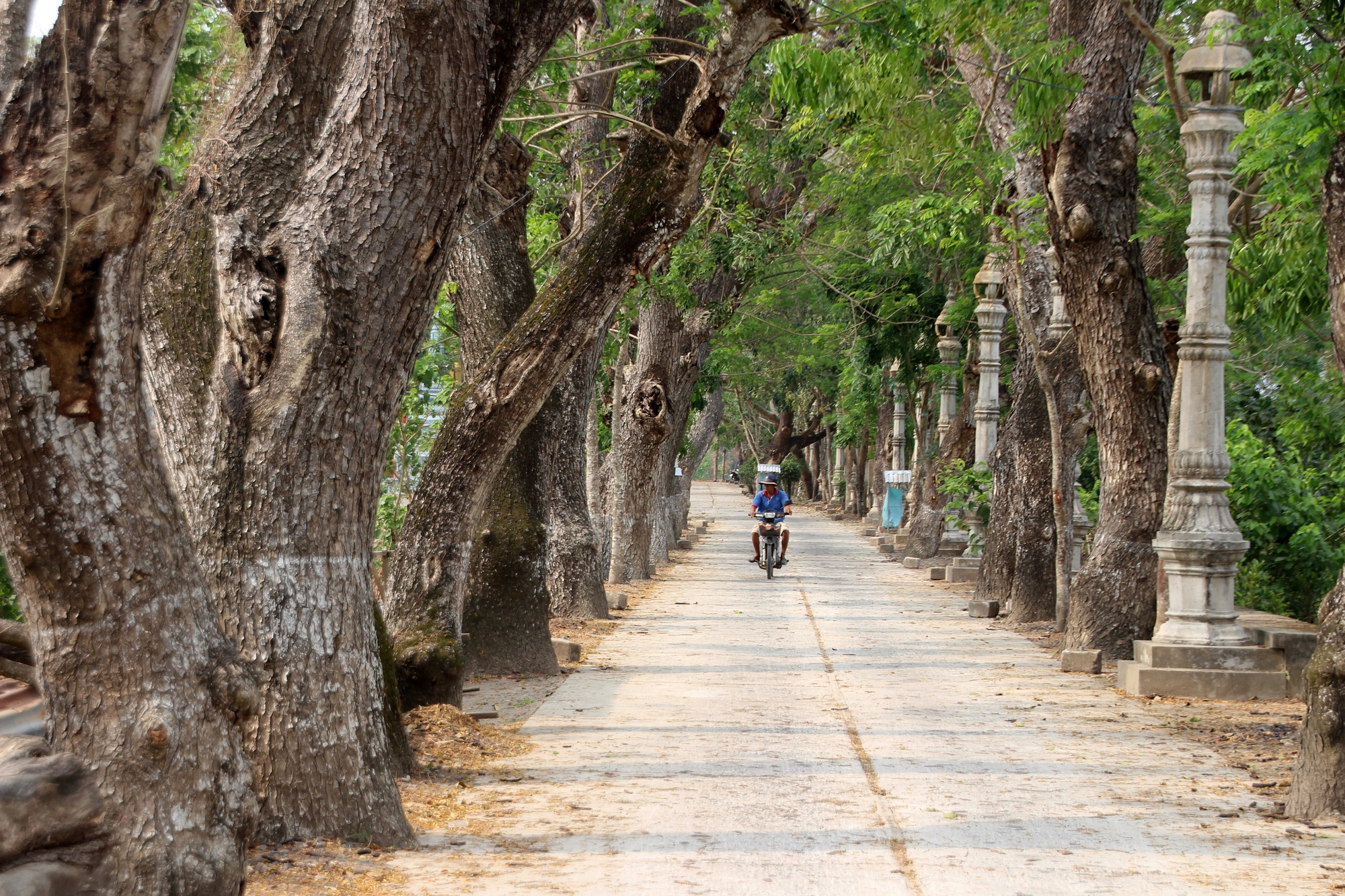 Chùa hàng còng - Vẻ đẹp giản dị vùng Bảy Núi An Giang - Ảnh 8.