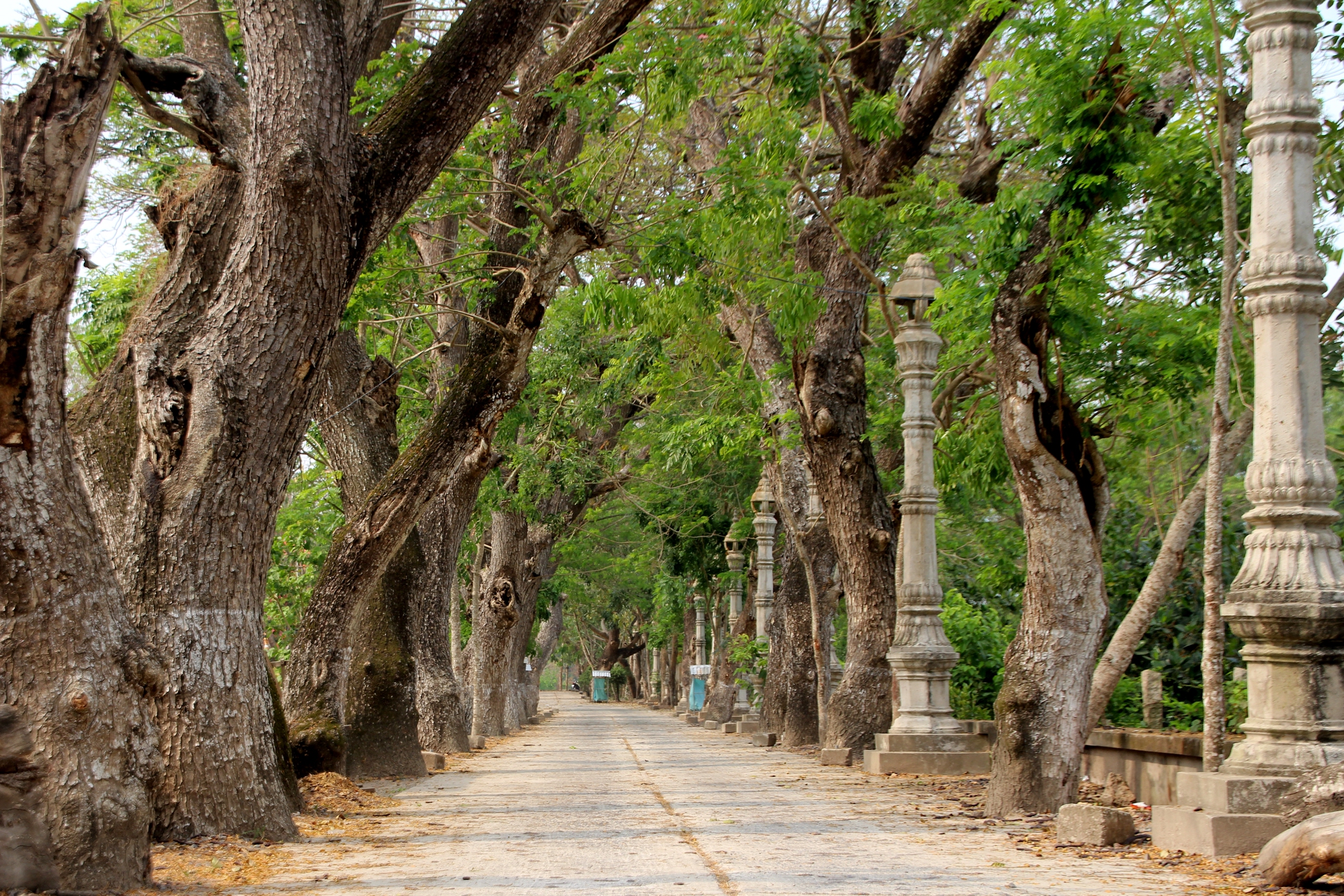 Chùa hàng còng - Vẻ đẹp giản dị vùng Bảy Núi An Giang - Ảnh 10.