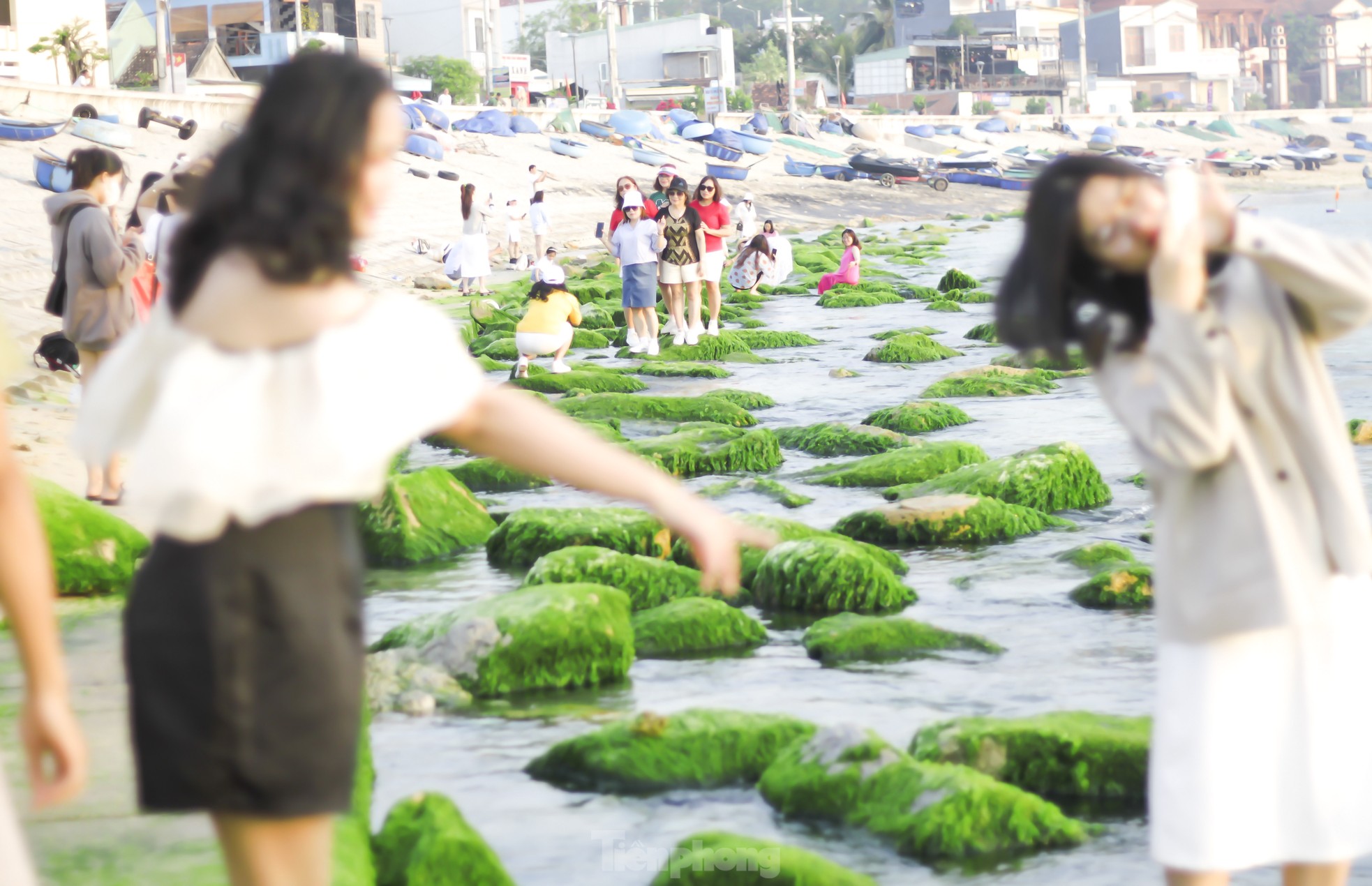 Thích thú check-in với thảm rêu đẹp hiếm có ở biển Quy Nhơn - Ảnh 6.