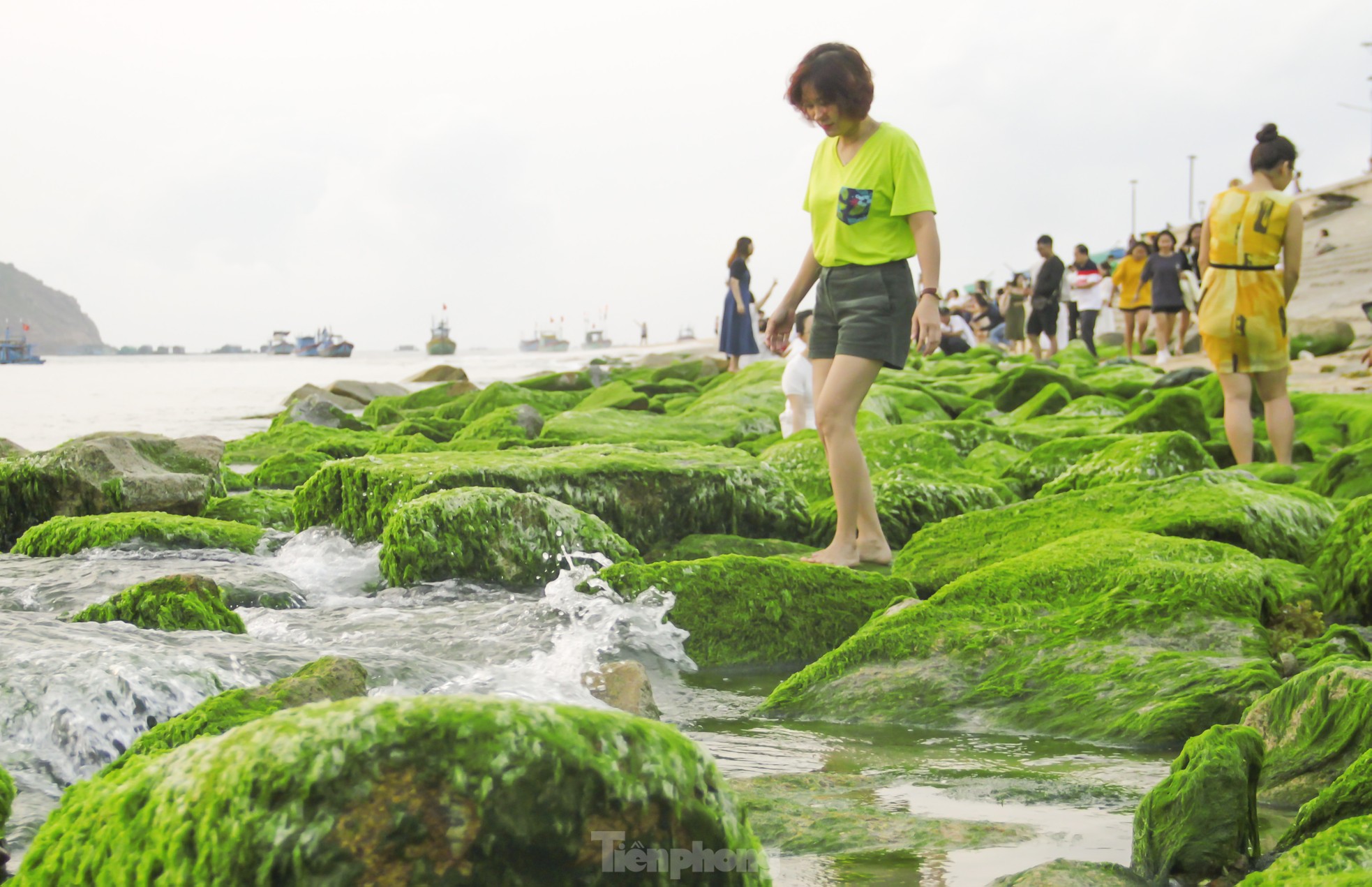 Thích thú check-in với thảm rêu đẹp hiếm có ở biển Quy Nhơn - Ảnh 11.