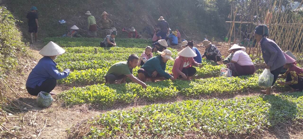 Nông dân Điện Biên thu tiền thoải mái, sau khi tham gia các lớp đào tạo nghề - Ảnh 3.