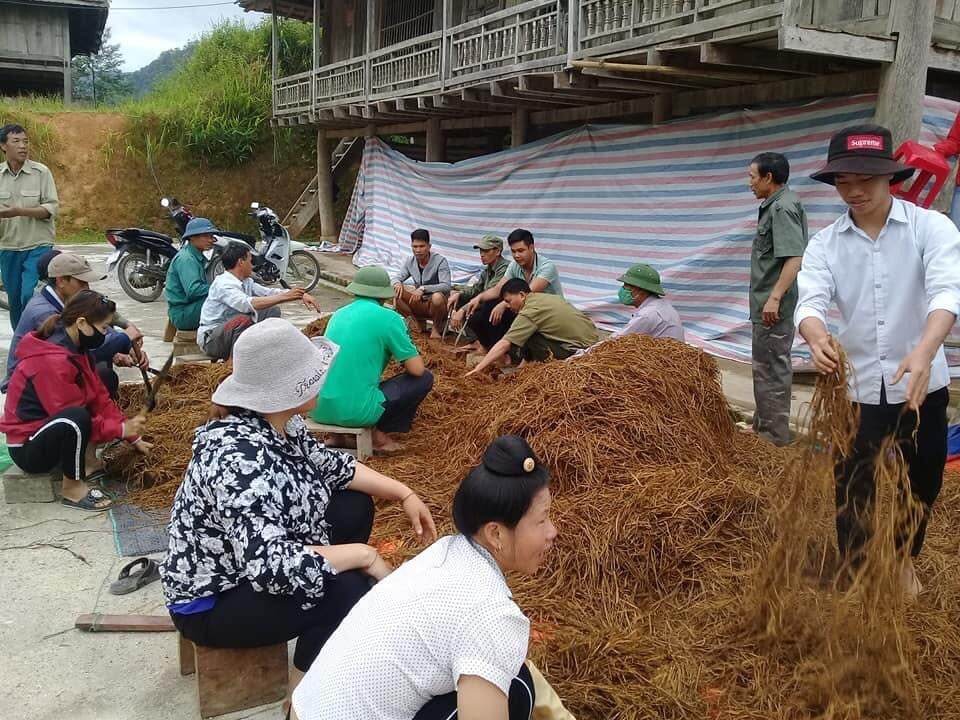 Nông dân Điện Biên thu tiền thoải mái, sau khi tham gia các lớp đào tạo nghề - Ảnh 1.