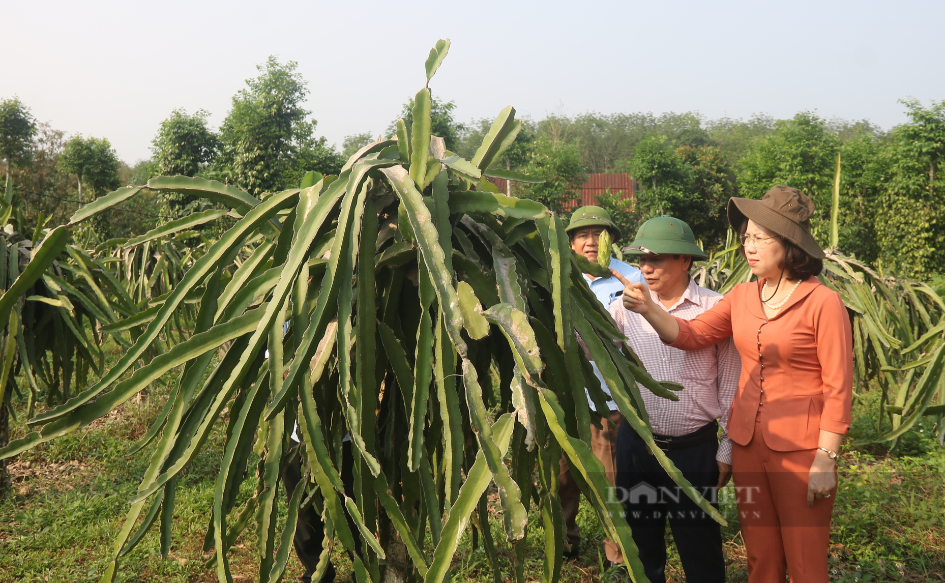 Phó Chủ tịch Trung ương Hội ND Bùi Thị Thơm: Sản xuất nông sản phải phù hợp nhu cầu thị trường - Ảnh 5.
