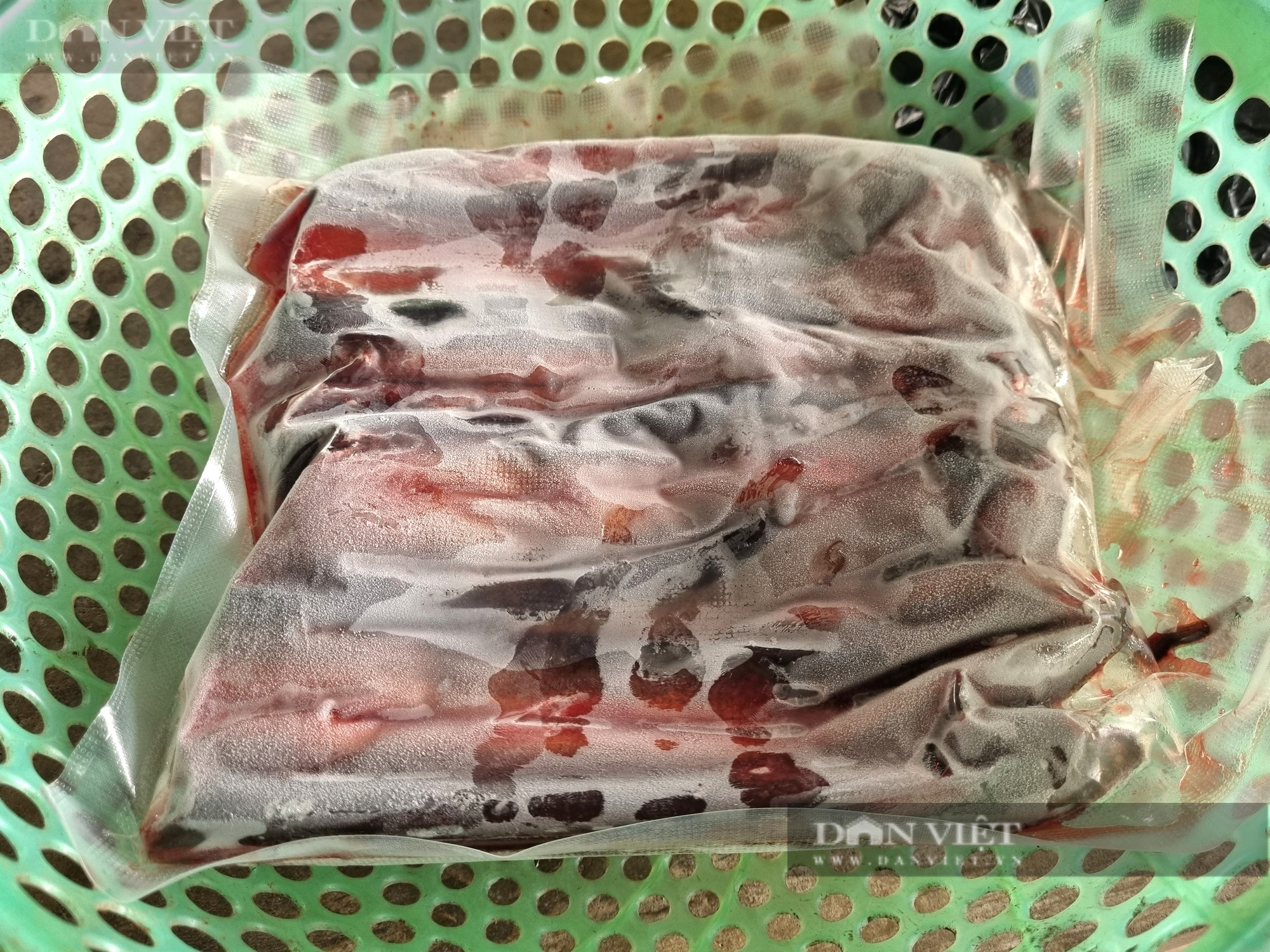 Từ Hàn Quốc trở về, trai 8X Ninh Bình nuôi con lươn không bùn thắng lớn  - Ảnh 9.