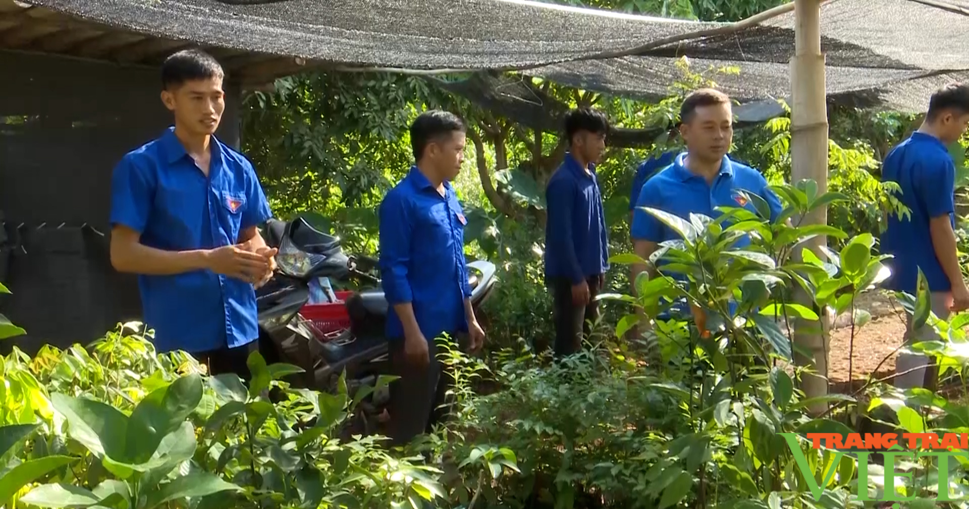 Chàng thanh niên vùng biên khởi nghiệp thành công từ vườn ươm - Ảnh 5.