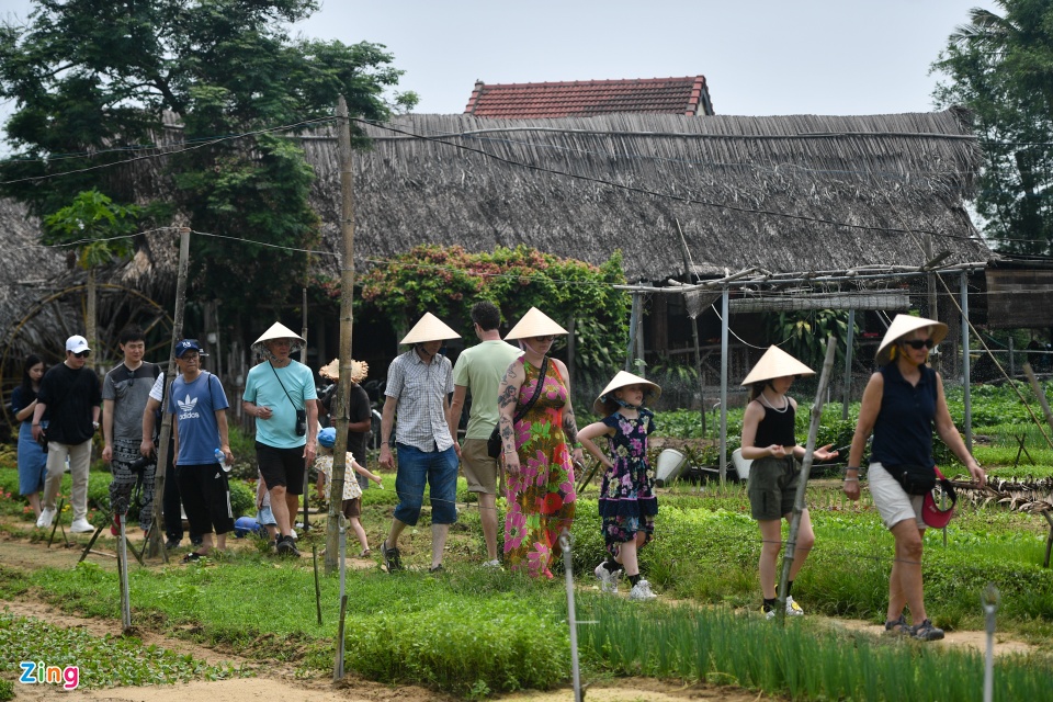 Làng rau ở Hội An có gì mà thu hút khách Tây rần rần kéo tới - Ảnh 5.