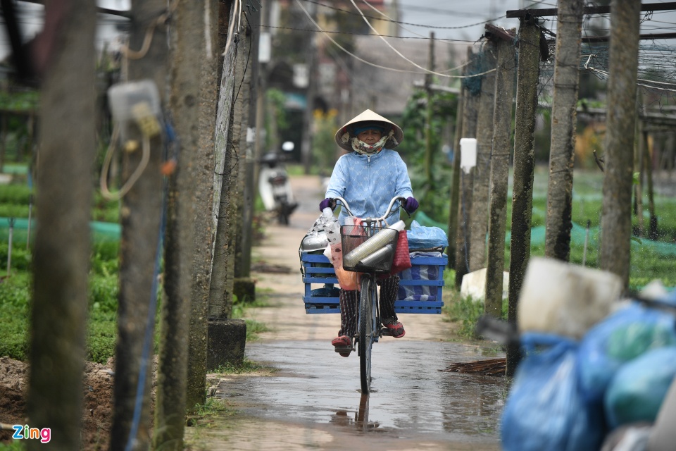 Làng rau ở Hội An có gì mà thu hút khách Tây rần rần kéo tới - Ảnh 6.