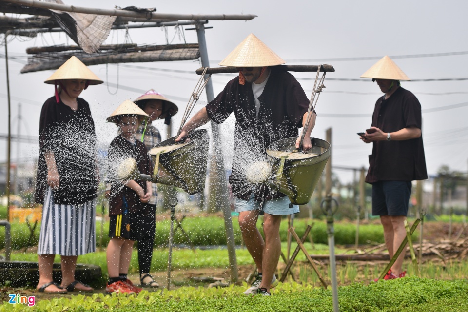 Làng rau ở Hội An có gì mà thu hút khách Tây rần rần kéo tới - Ảnh 8.