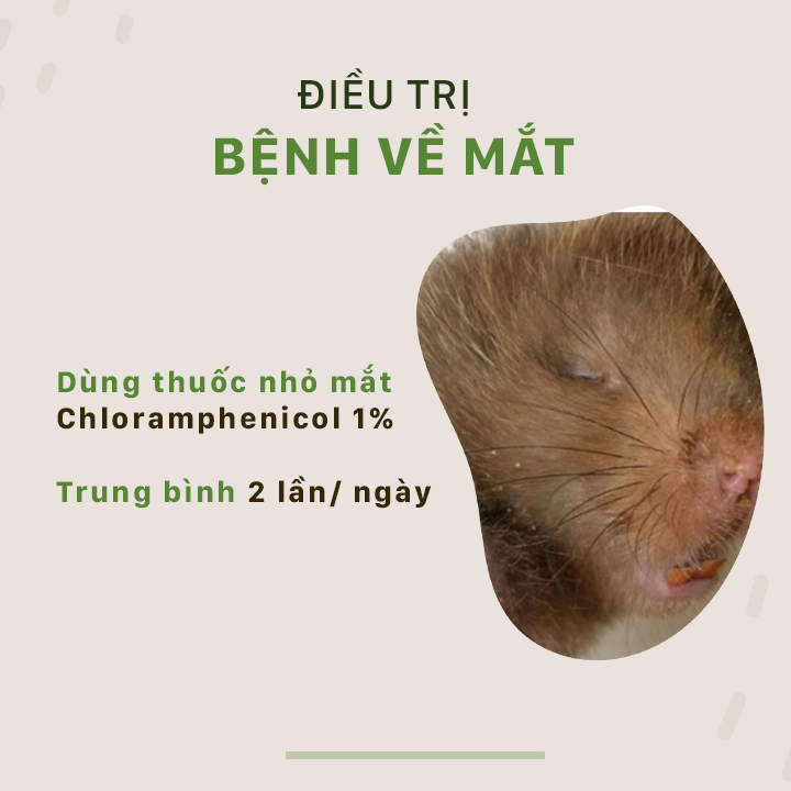 SỔ TAY NHÀ NÔNG: Biện pháp phòng và điều trị một số bệnh thường gặp ở con dúi - Ảnh 3.