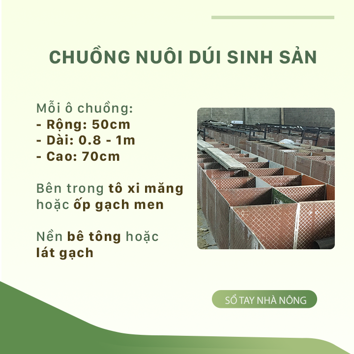 SỔ TAY NHÀ NÔNG: Một số lưu ý khi chăm sóc dúi sinh sản - Ảnh 1.