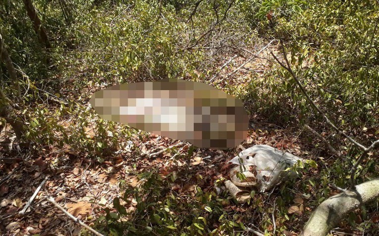Phát hiện thi thể người phụ nữ đang phân hủy trong rừng
