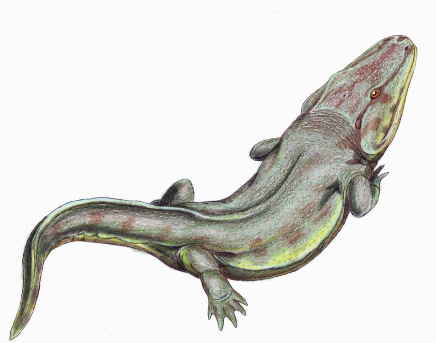 Phát hiện dấu chân của sinh vật khổng lồ xuất hiện trước cả khủng long - Ảnh 1.