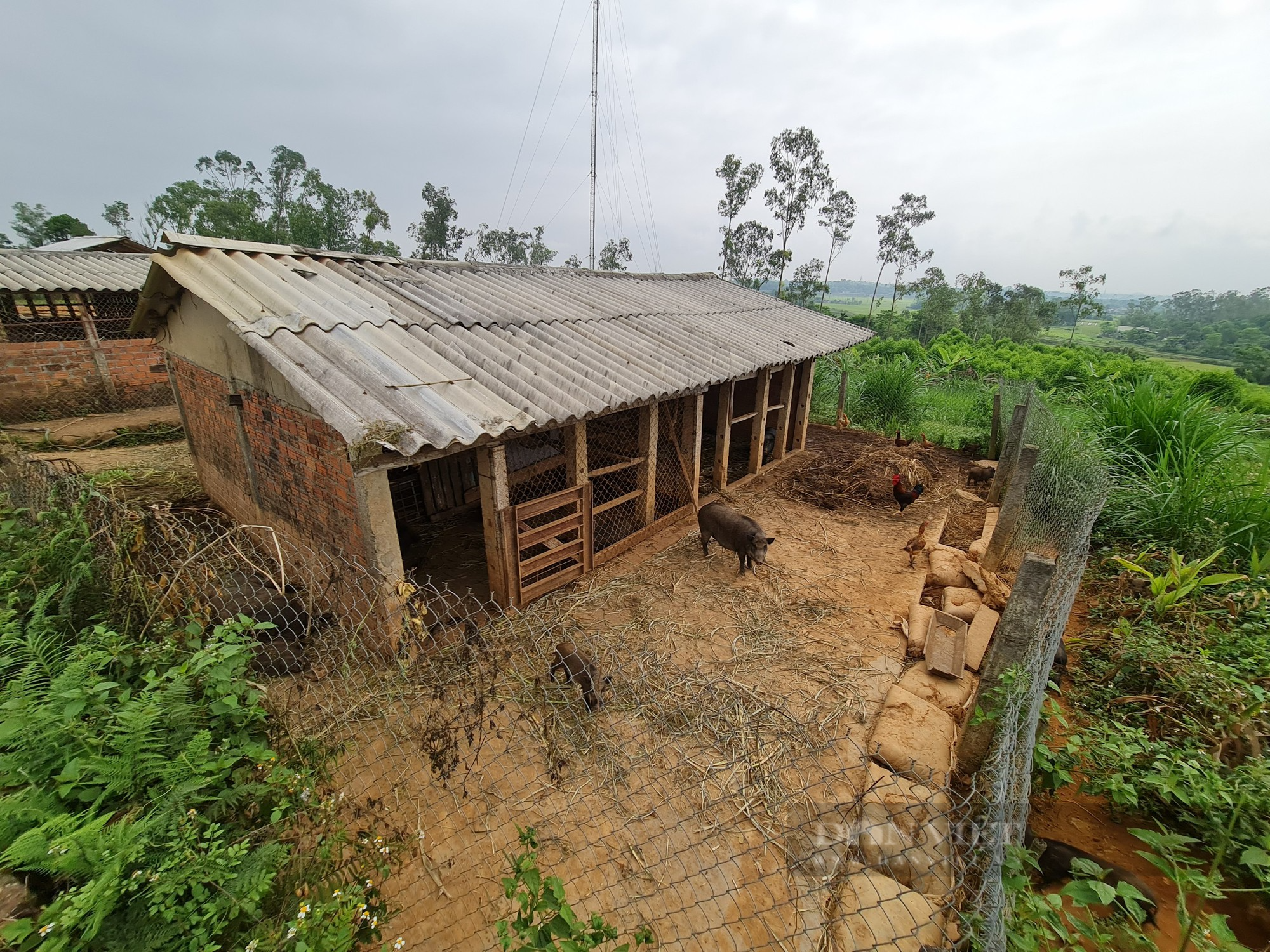 Luật sư phân tích đúng sai về trang trại xây dựng kiên cố chưa có “sổ đỏ” của Phó Bí thư huyện Phú Ninh  - Ảnh 6.