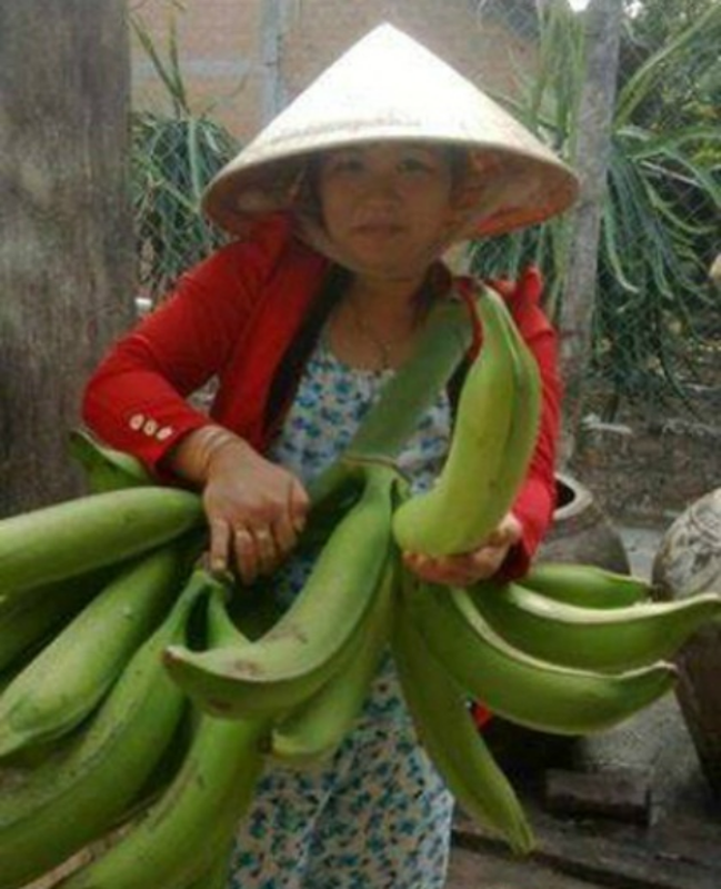 Không tin nổi vào mắt mình trước loạt rau củ quả khổng lồ trong vườn nông dân Việt - Ảnh 10.