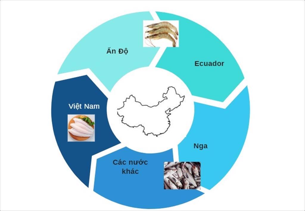 Một loài thủy sản của Việt Nam đang gặp 2 đối thủ mạnh tại thị trường Trung Quốc - Ảnh 2.