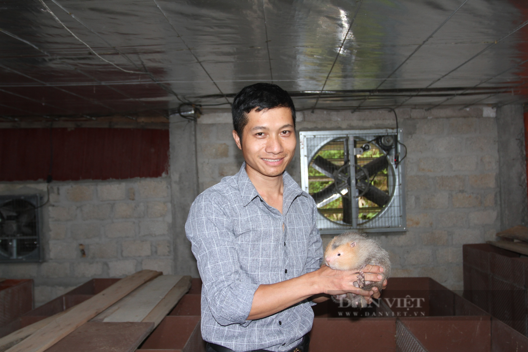 Thái Nguyên: Chàng thanh niên dân tộc Tày khởi nghiệp thành công với mô hình nuôi dúi - Ảnh 2.