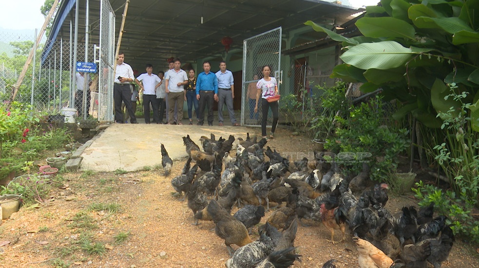 giảm nghèo thái nguyên 