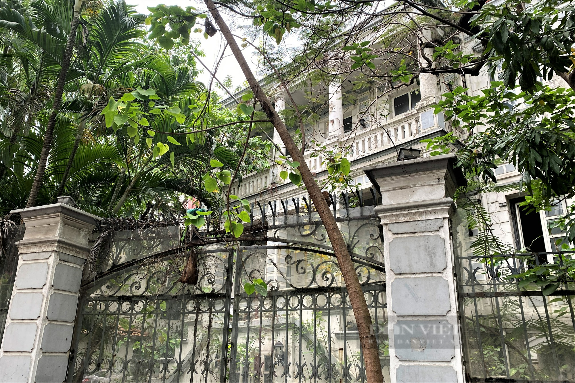 Cận cảnh nhiều căn biệt thự cổ tại Hà Nội bỏ hoang, xuống cấp - Ảnh 11.
