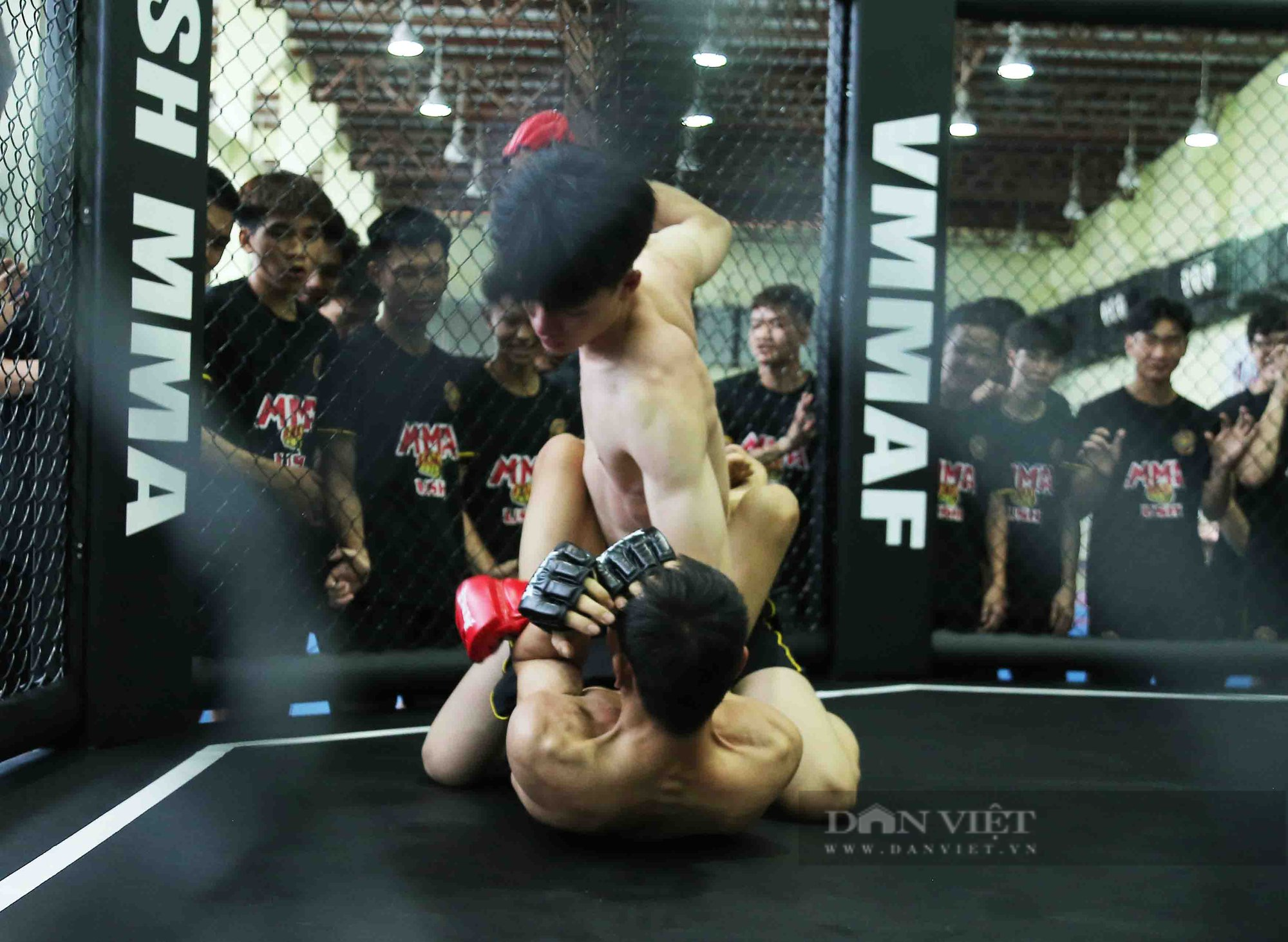 Đẩy mạnh phát triển MMA trong sinh viên - Ảnh 6.