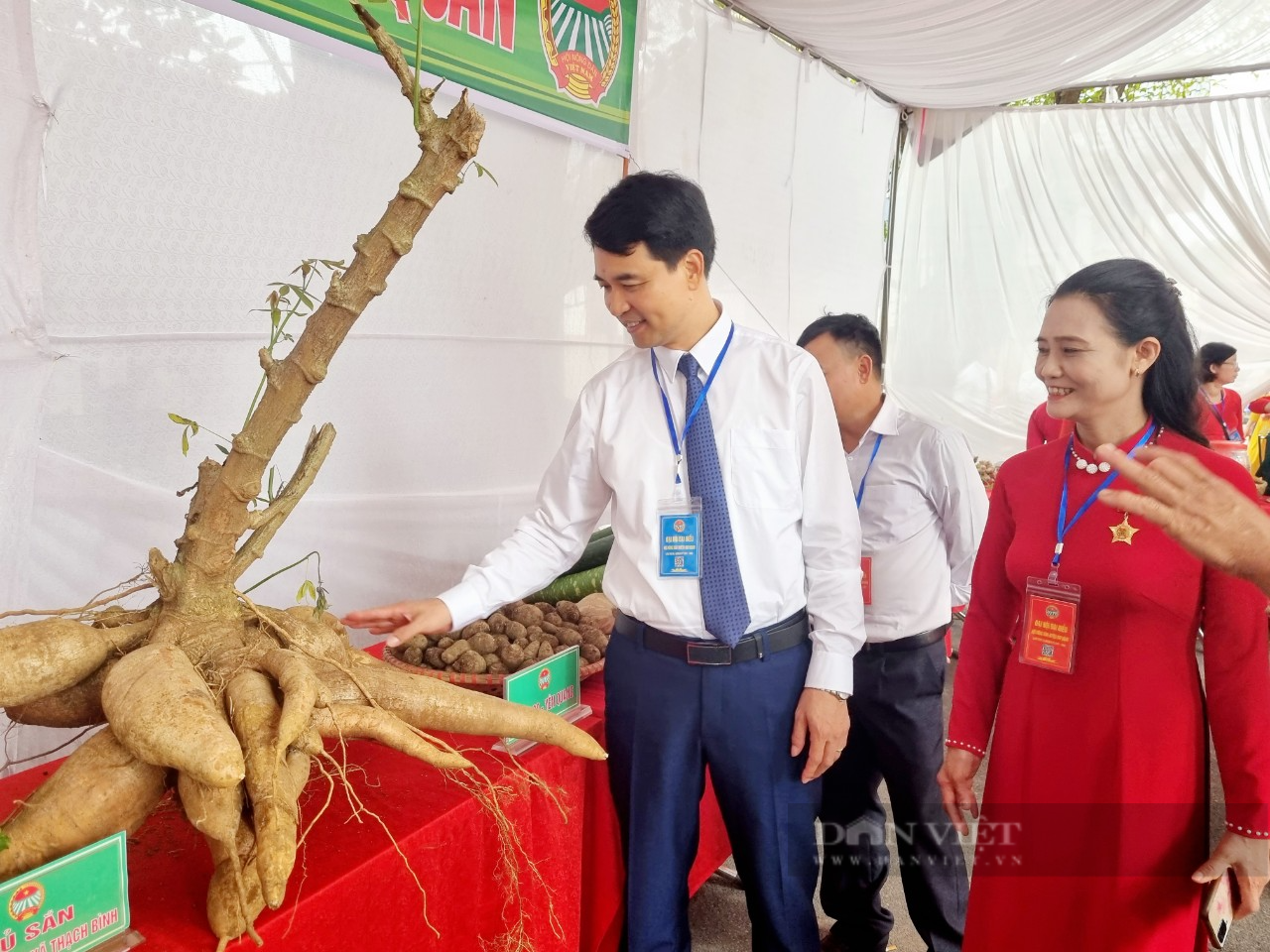 Bất ngờ chùm củ sắn &quot;đột biến&quot; nặng 60 kg trưng bày tại Đại hội Hội Nông dân huyện Nho Quan - Ảnh 2.