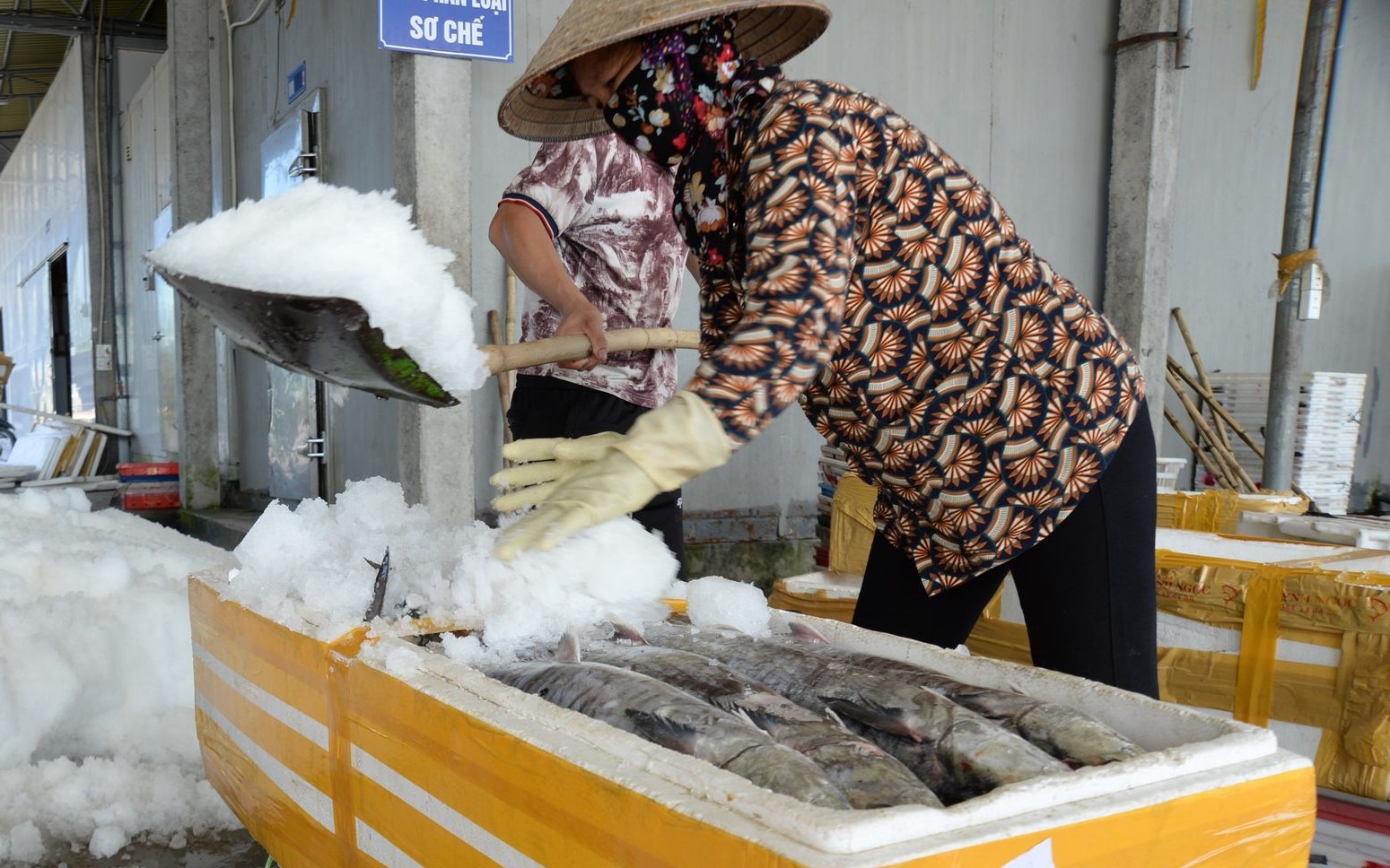 Vì sao sản lượng thủy sản được giám sát qua cảng cá ở Nam Định còn thấp?
