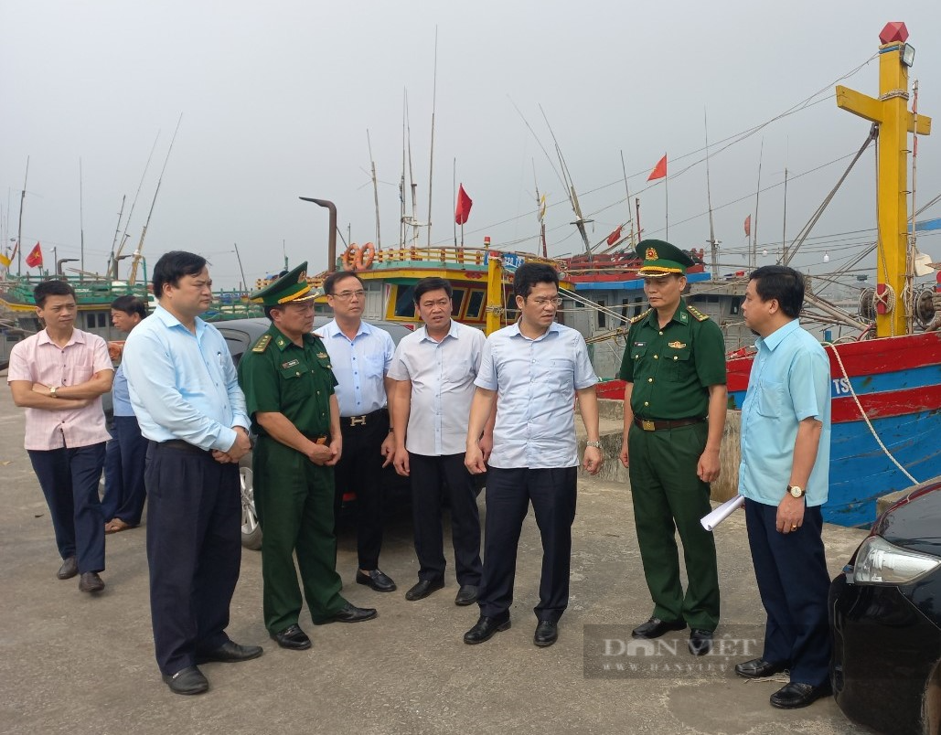 Nam Định: Sản lượng giám sát thủy sản qua cảng cá còn thấp - Ảnh 1.
