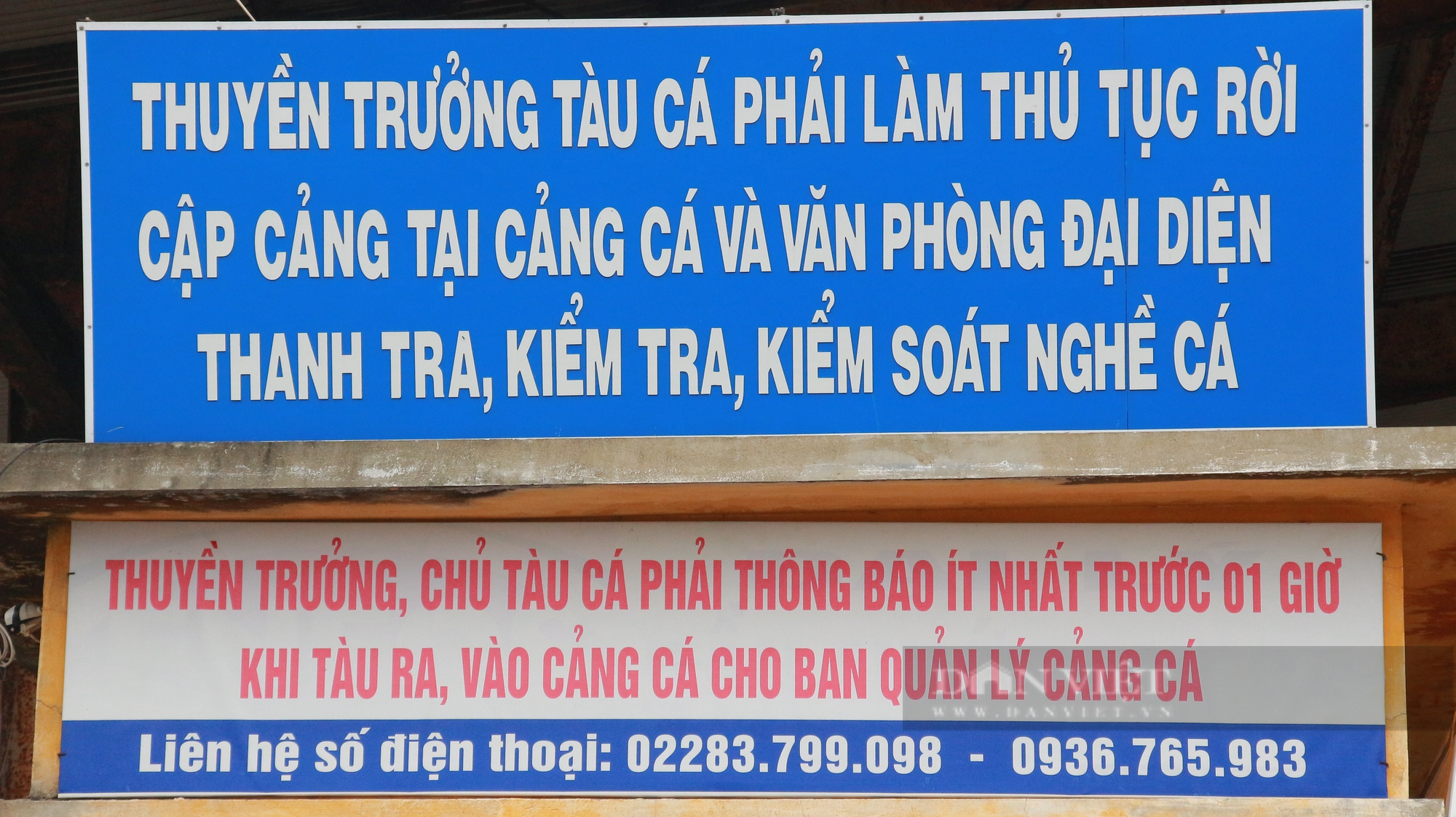 Nam Định: Sản lượng thủy sản được giám sát qua cảng cá còn thấp - Ảnh 5.