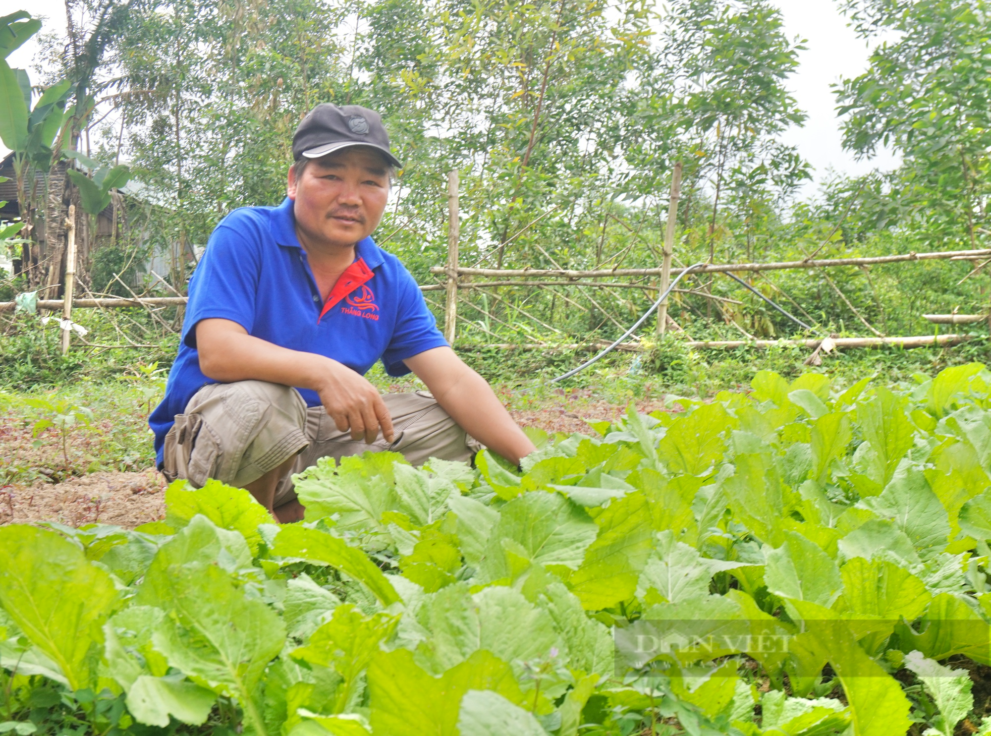 Vượt qua quá khứ lầm lỡ, vợ chồng nông dân Quảng Nam làm giàu trên mảnh đất khô cằn - Ảnh 1.