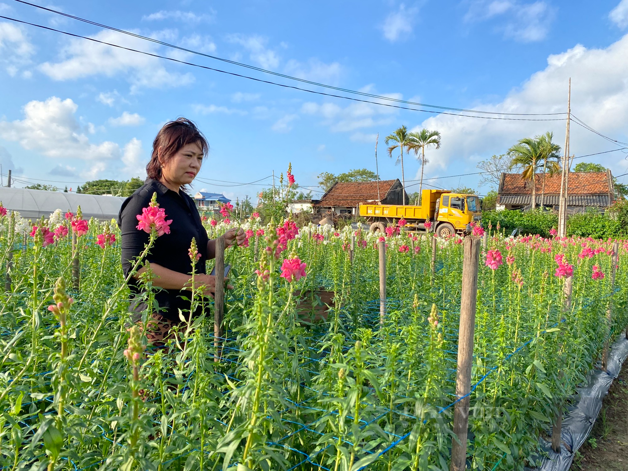 Nam Định: Hỗ trợ nông dân giảm nghèo bền vững - Ảnh 2.