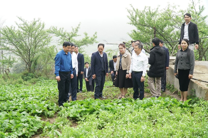 Chắt chiu từng hạt gạo nuôi trò bán trú - Ảnh 2.