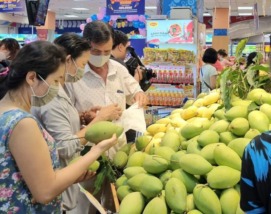“Đệ nhất xoài ngon” của tỉnh Đồng Tháp về siêu thị TP.HCM với giá sốc bất ngờ - Ảnh 1.